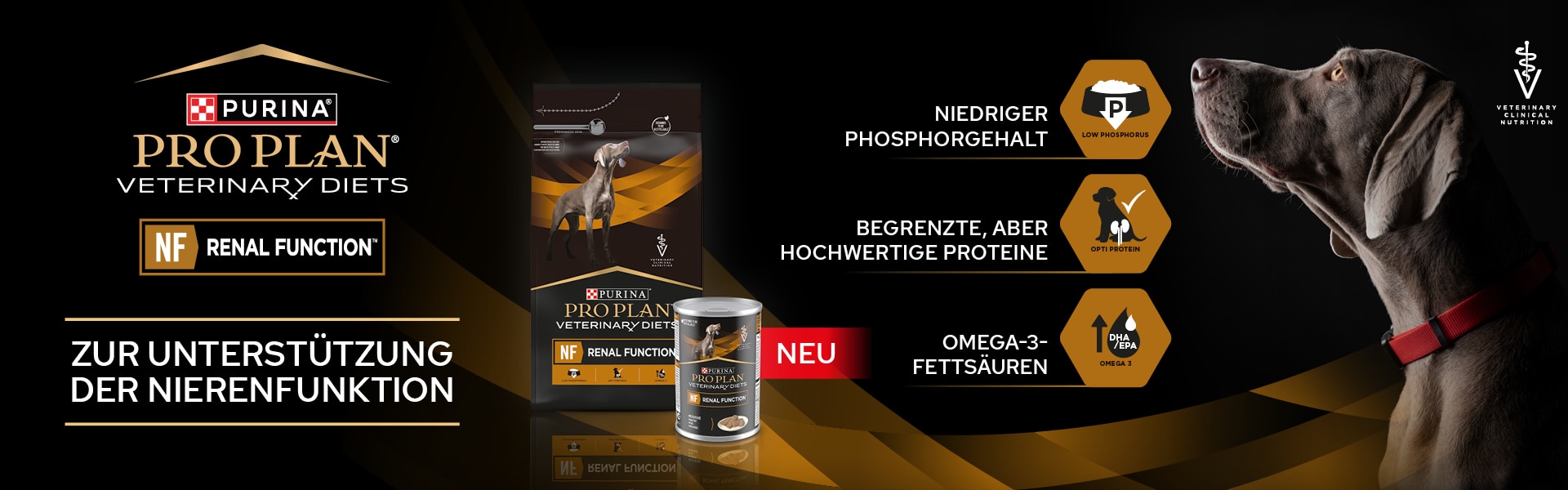 153_Formatanpassung_Banner_PPVD_Nf_Hund_DT1920x600