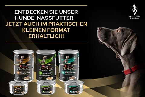 069_Shop-Banner_PPVD_Hund_MB480x320
