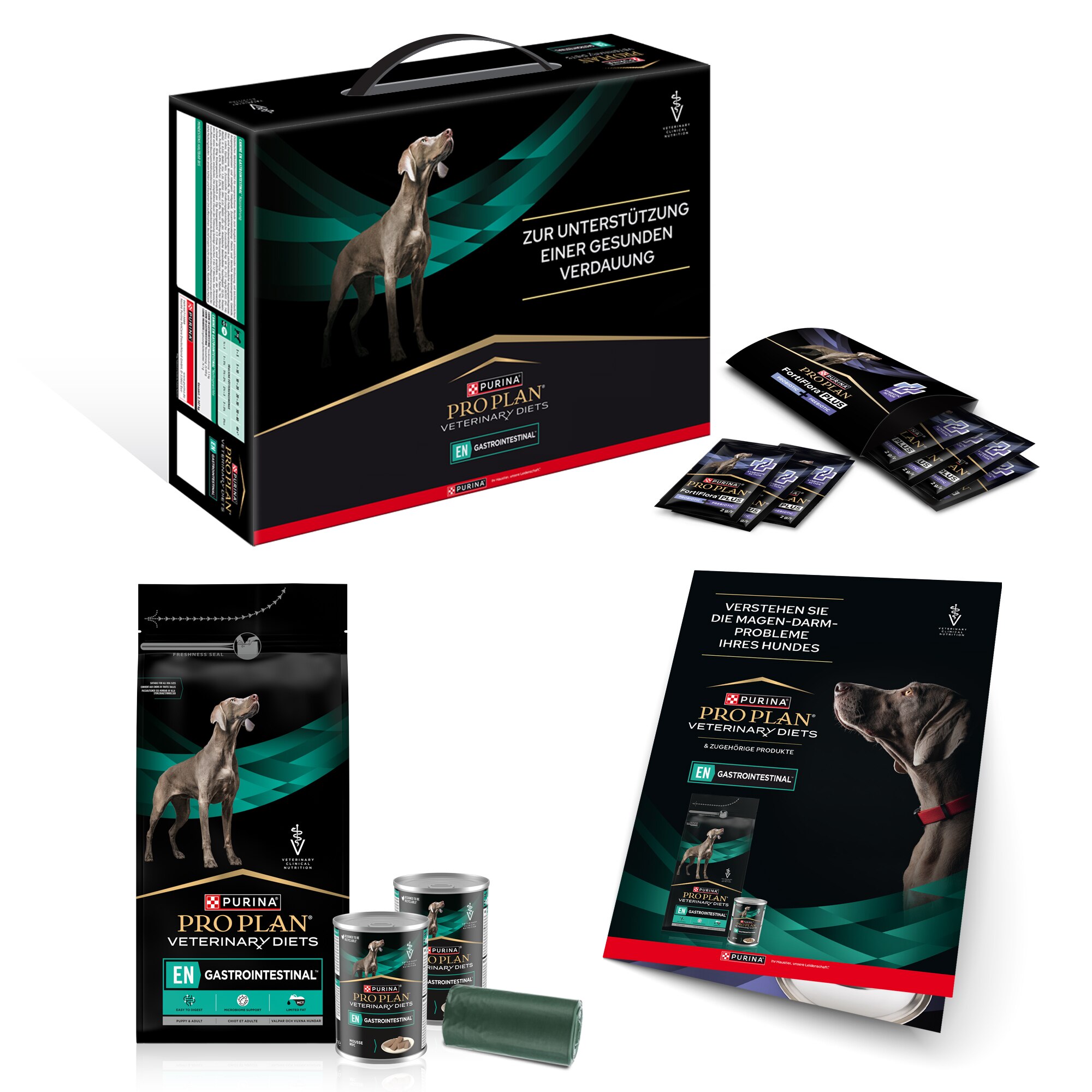 Werbung, Plakat, Hund, Säugetier, Haustier, Werbung, Plakat, Hund, Säugetier, Haustier