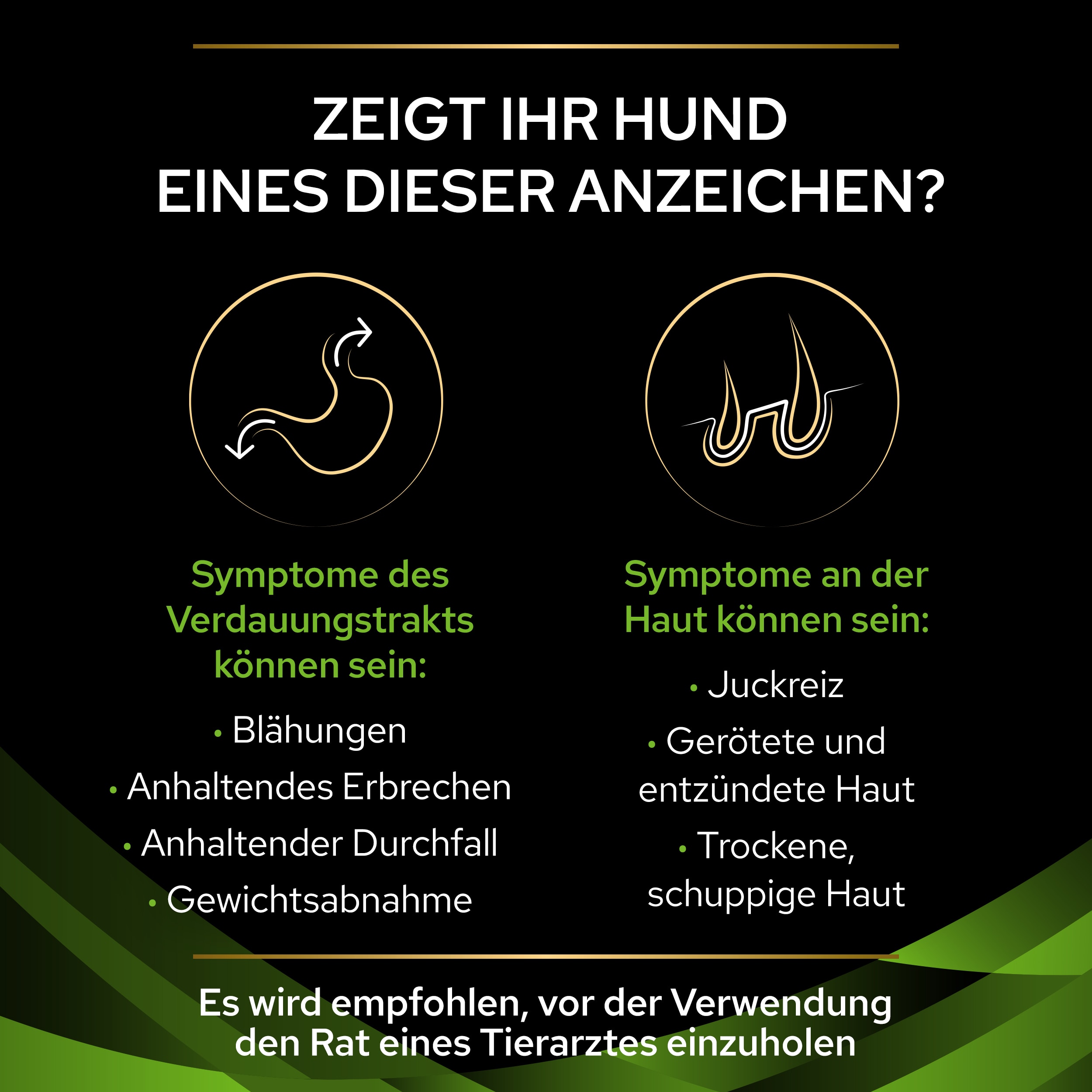 PUPPVDDDPPVHA22D1LDE_1665112290355 Anzeichen für Allergien bei Hunden