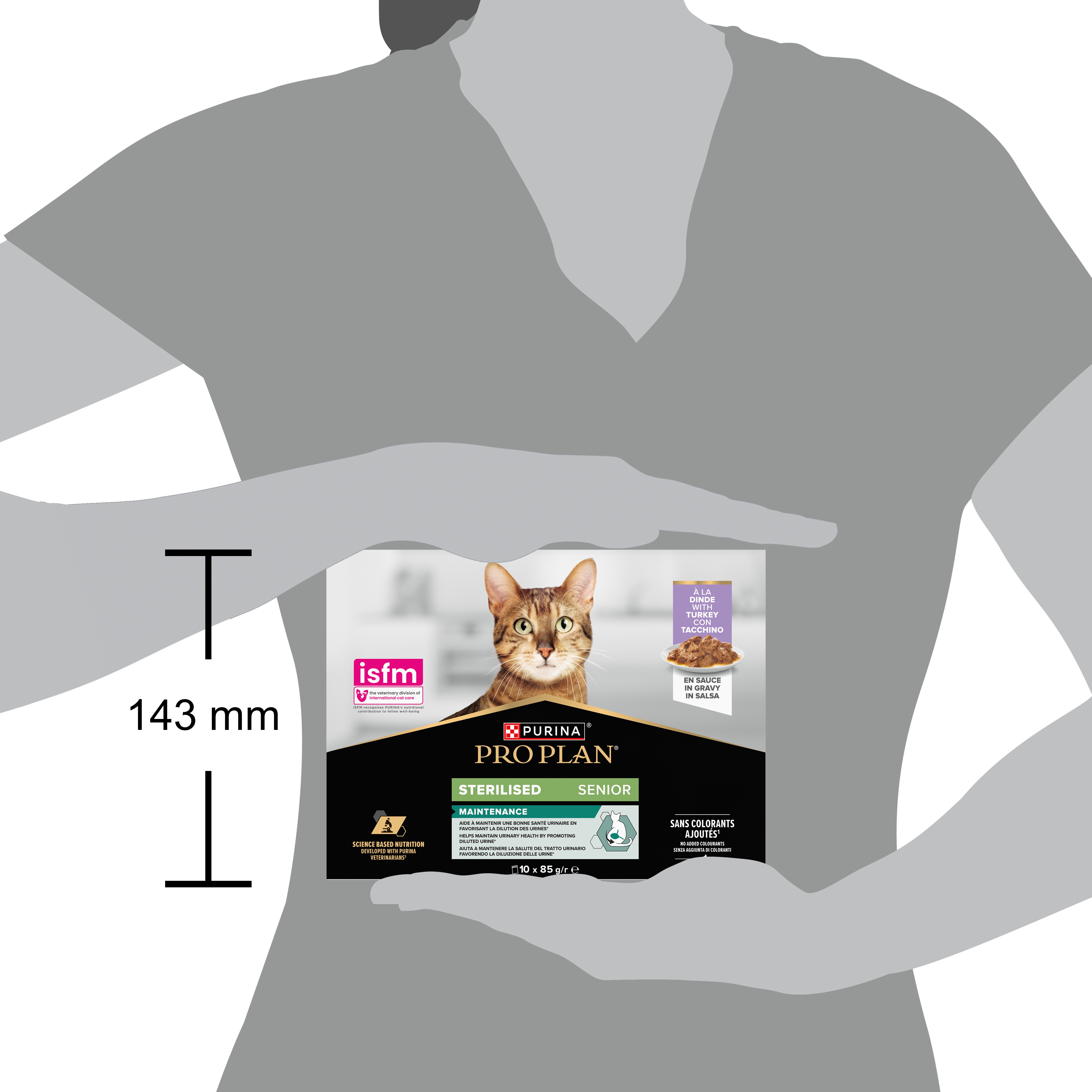 Werbung, Plakat, Abessinisch, Katze, Haustier