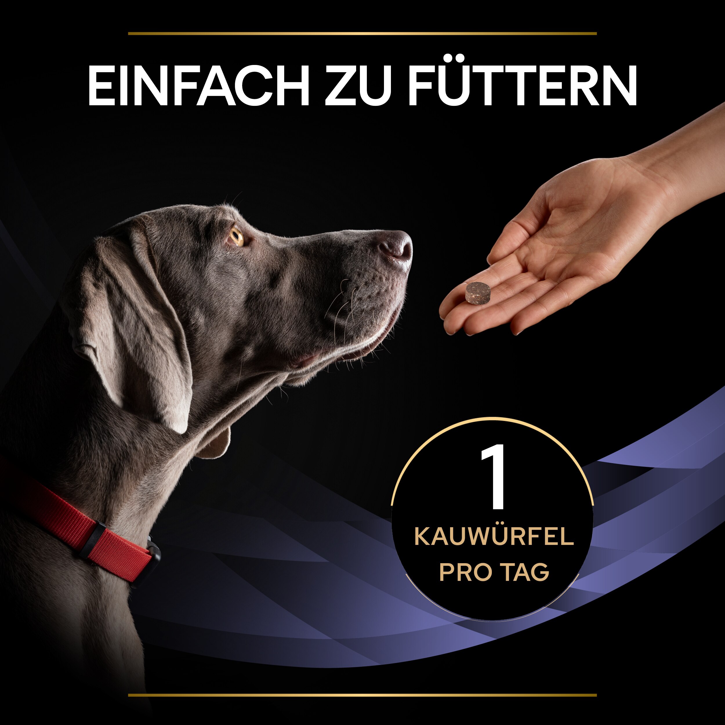 Fütterungsempfehlung