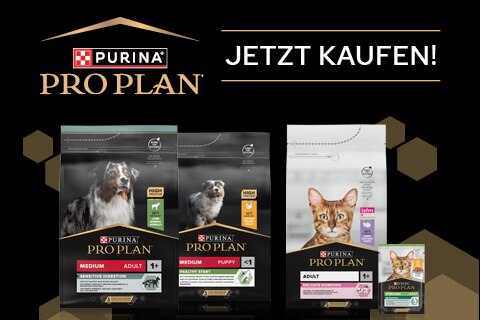 129_PP_Umstellung_Webshop_Banner_diverse_JetztKaufenPP_MB480x320