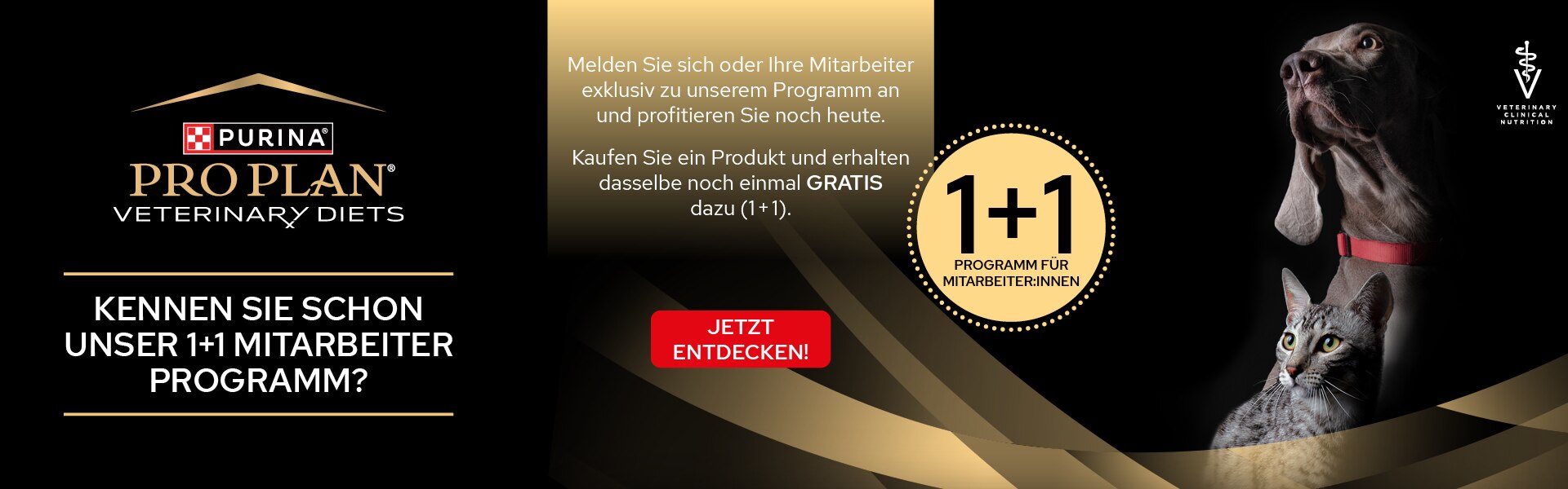 Werbung, Plakat, Katze, Säugetier, Haustier, Werbung, Plakat, Katze, Säugetier, Haustier, Werbung, Plakat, Katze, Säugetier, Haustier