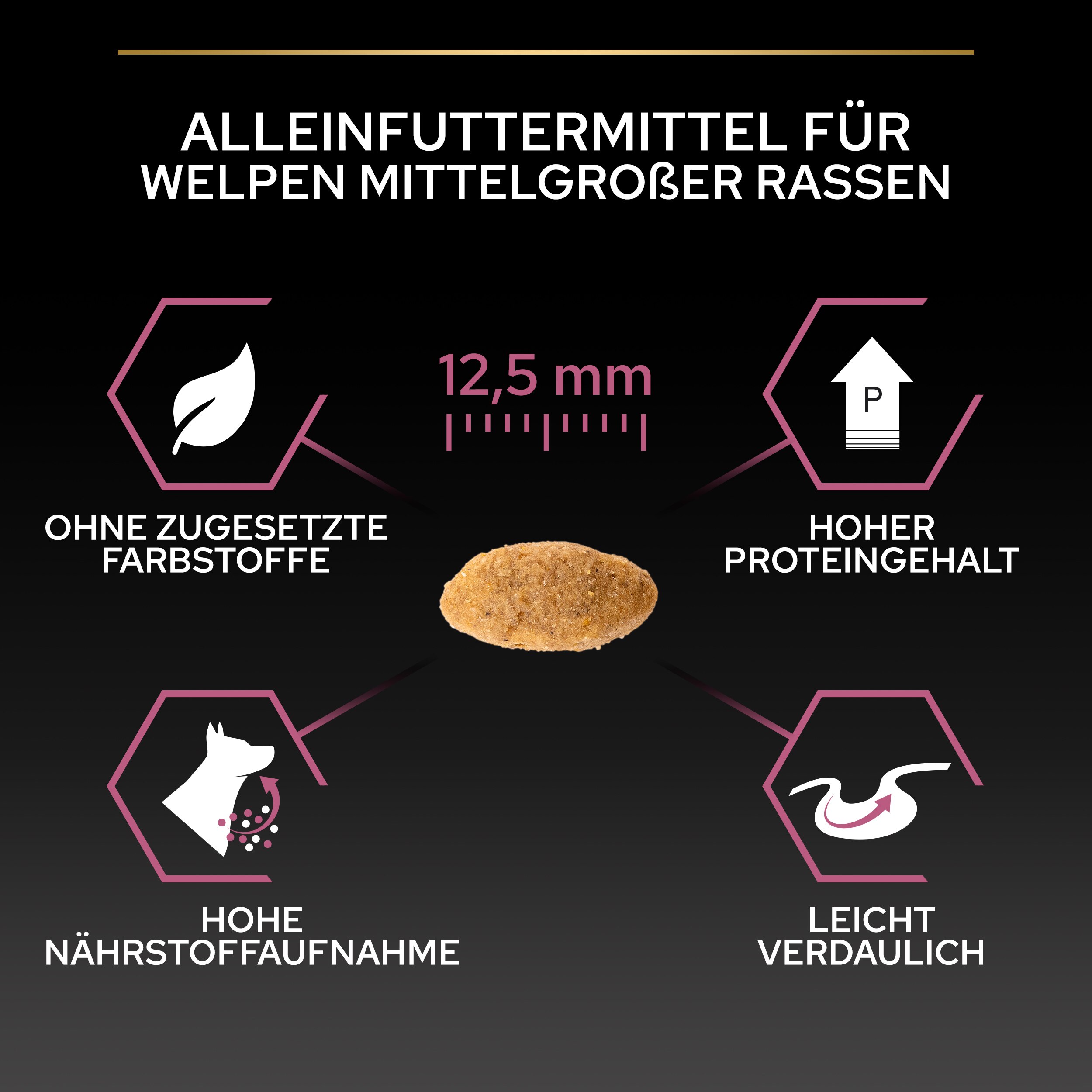 Medium Adult Everyday Nutrition, Trockenfutter für ausgewachsene mittelgroße Hunde, reich an Huhn Krokettengröße von ca. 12,5mm