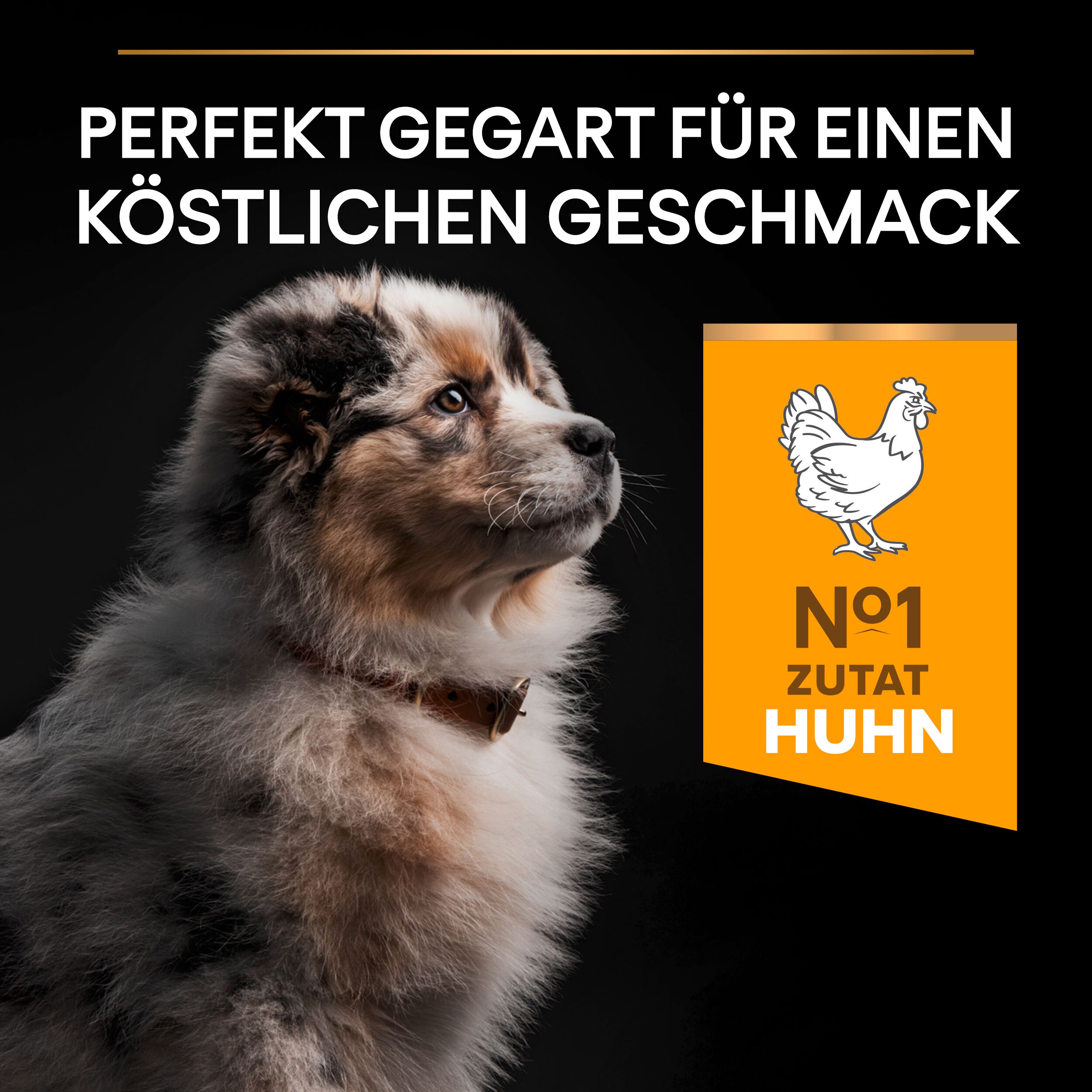 Trockenfutter Medium Puppy Healthy Start
