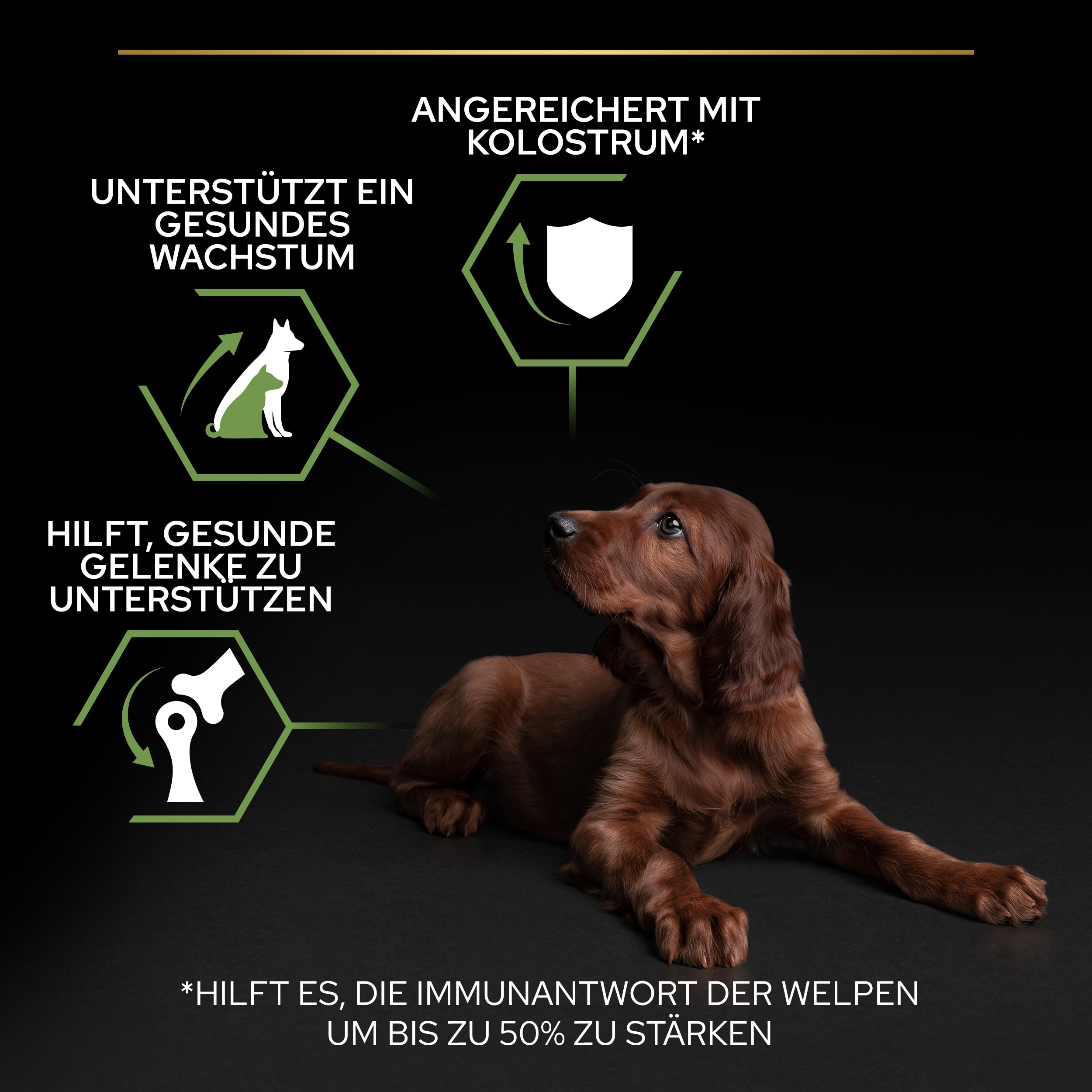 PU_Healthy Start_M2_Puppy Large Athletic Chicken_DE_20221201_01