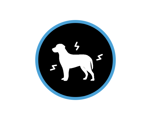 hund, silhouette, hunde icon, schwarzer kreis, blauer rand, Hund,  Silhouette, schwarzer Kreis, blauer Rand, weiße Figur