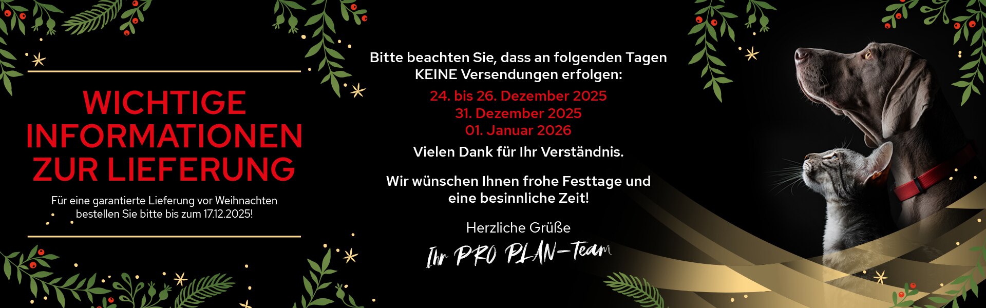 Werbung, Plakat, Hund, Säugetier, Haustier