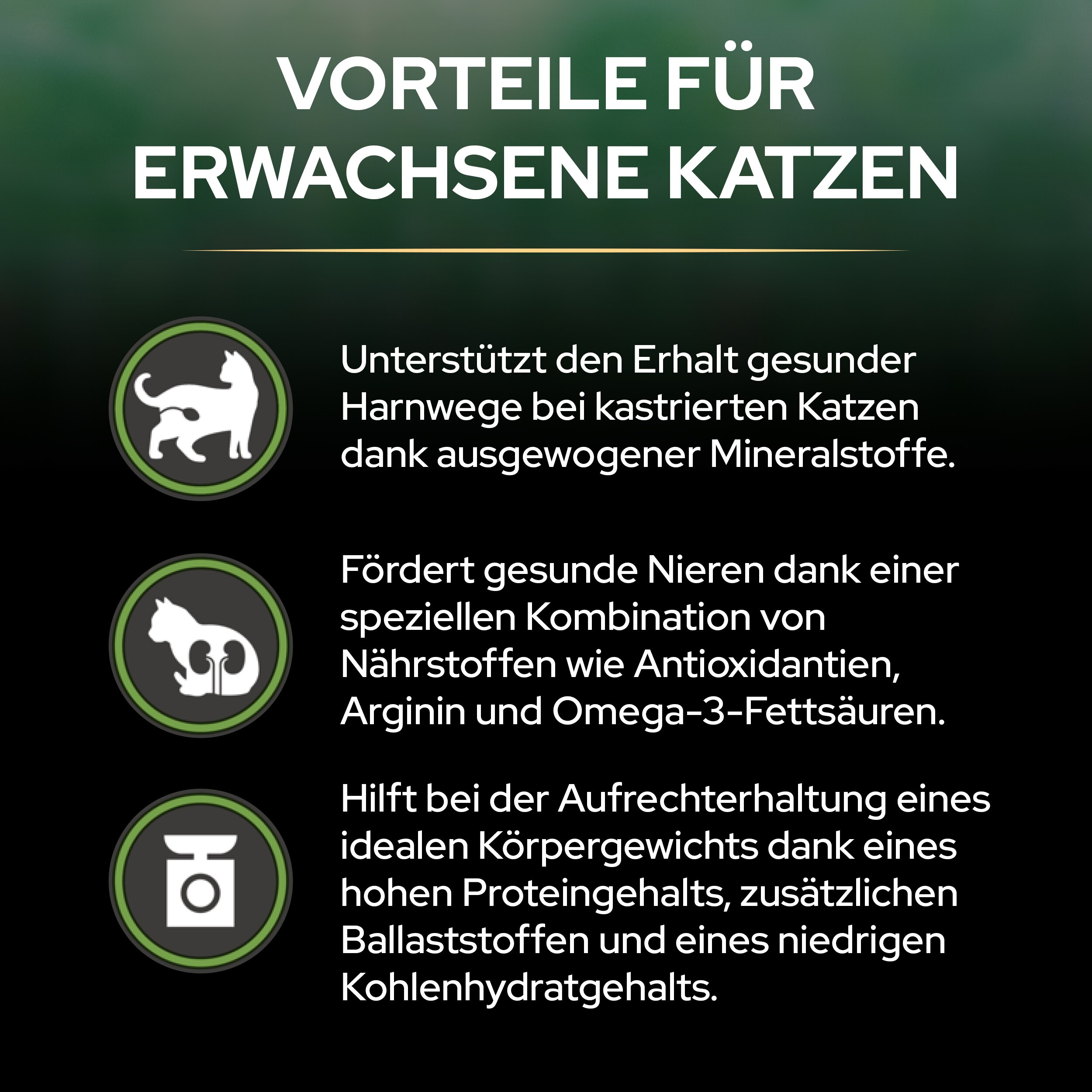LIVECLEAR Sterilised Adult, Trockenfutter zur Reduzierung von Katzenallergenen, Lachs 1,4kg Vorteile für erwachsene Katzen von Liveclear Sterilised Adult