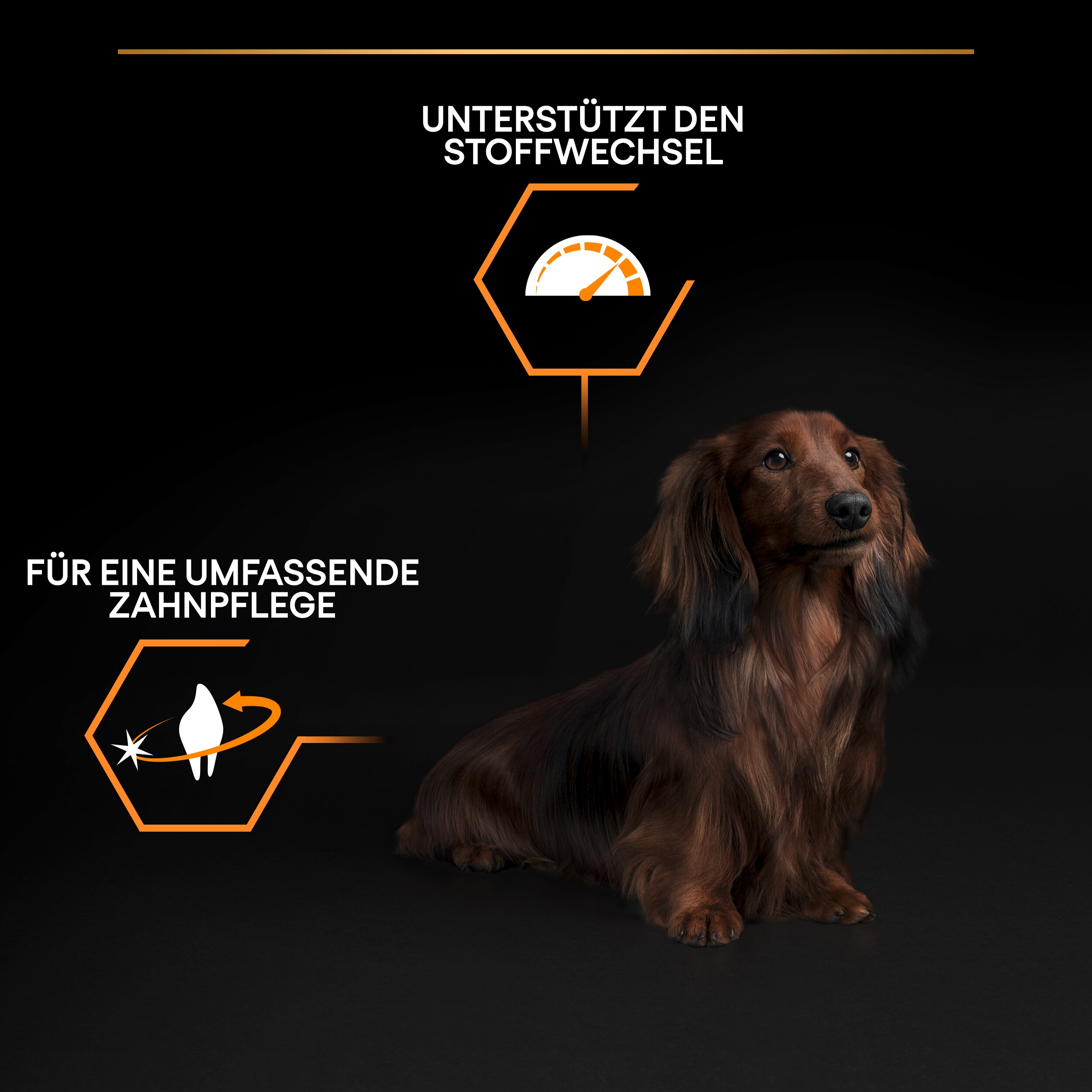 Small&Mini Adult Everyday Nutrition, reich an Huhn 3Kg Small/Mini Everyday Nutrition - Vorteile