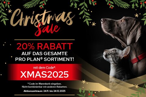 Werbung, Plakat, Hund, Säugetier, Haustier