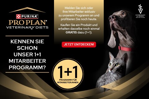 Werbung, Plakat, Hund, Haustier, Katze, Werbung, Plakat, Hund, Haustier, Katze, Werbung, Plakat, Hund, Haustier, Katze