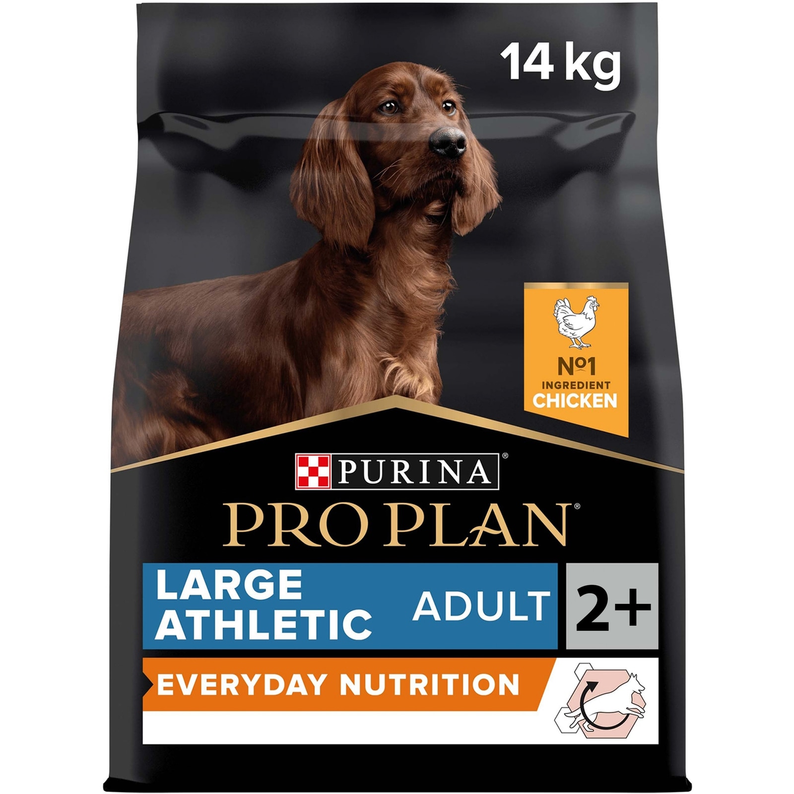 Large Athletic Adult Everyday Nutrition, reich an Huhn 14Kg Everyday Adult Large Athletic Packshot