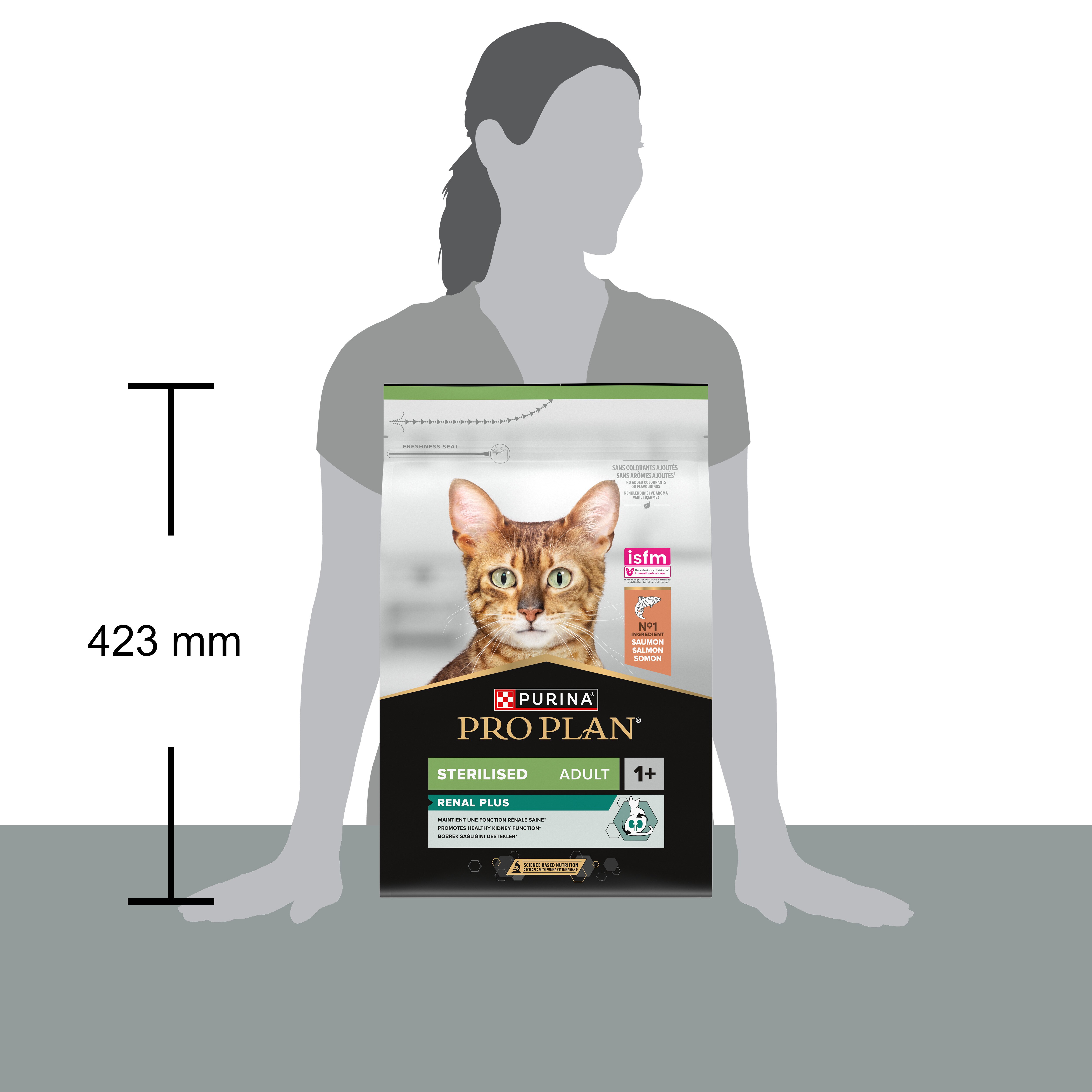 Katzenfutter, Trockenfutter, Erwachsener, sterilisiert, Renal Plus