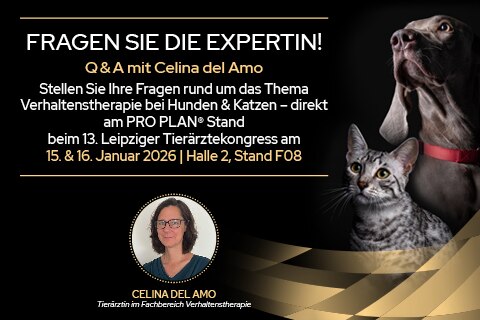 Erwachsener, Weiblich, Person, Frau, Hund