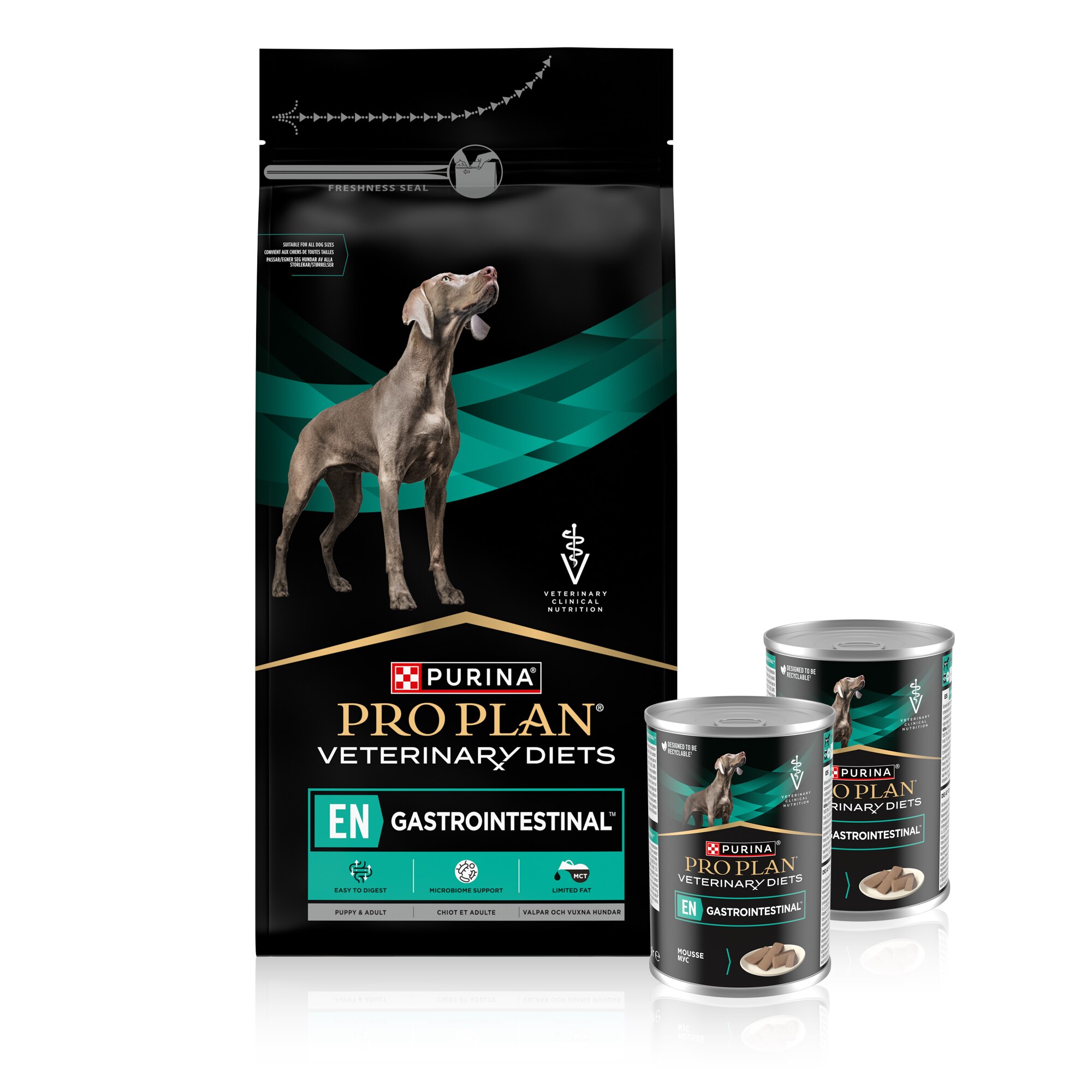 Werbung, Hund, Säugetier, Haustier, Werbung, Hund, Säugetier, Haustier