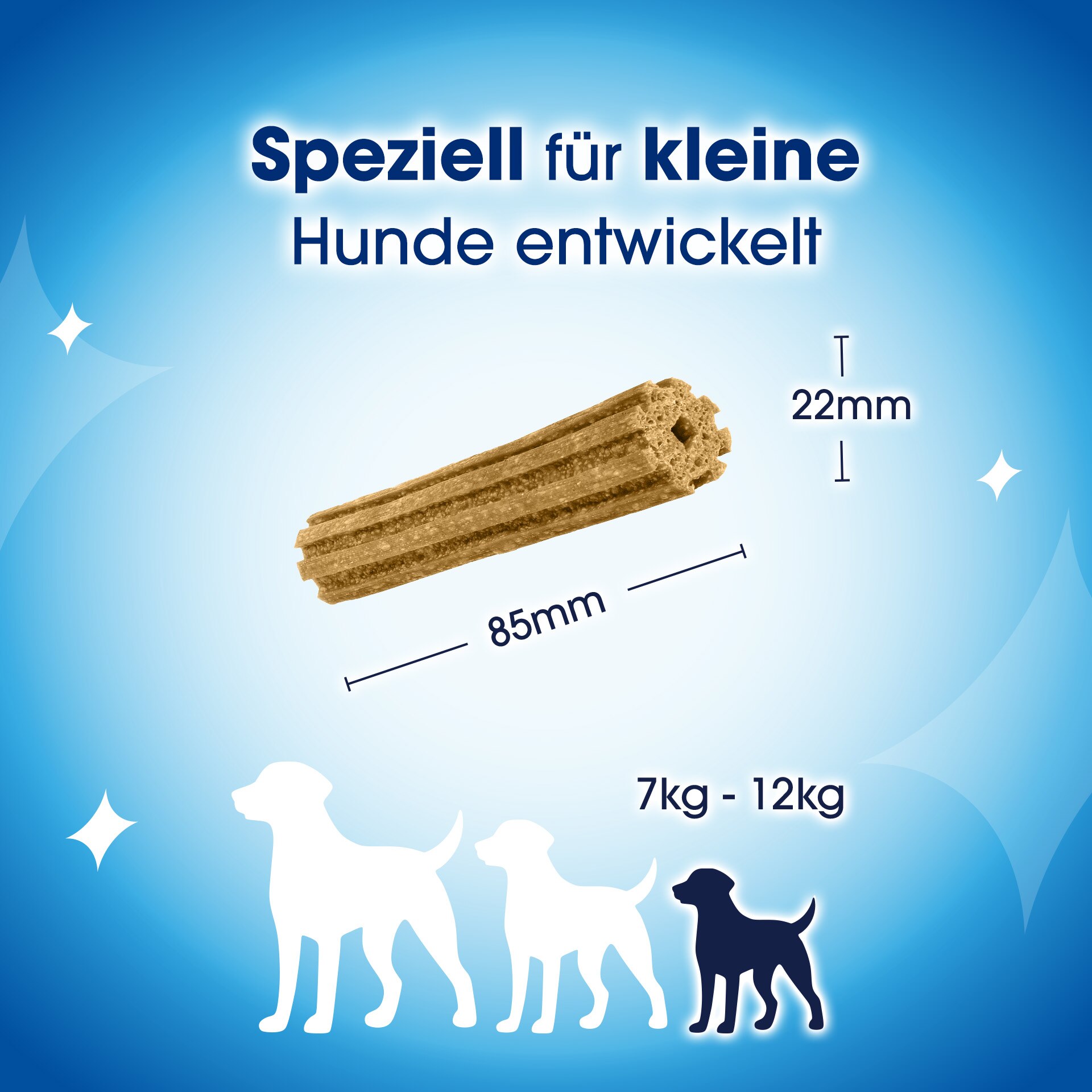 Tier, Hund, Säugetier, Haustier