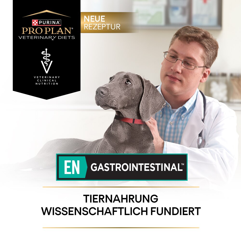 Tiernahrung, Gastrointestinal, Tierernährung, Tierarzt, Veterinärmedizin