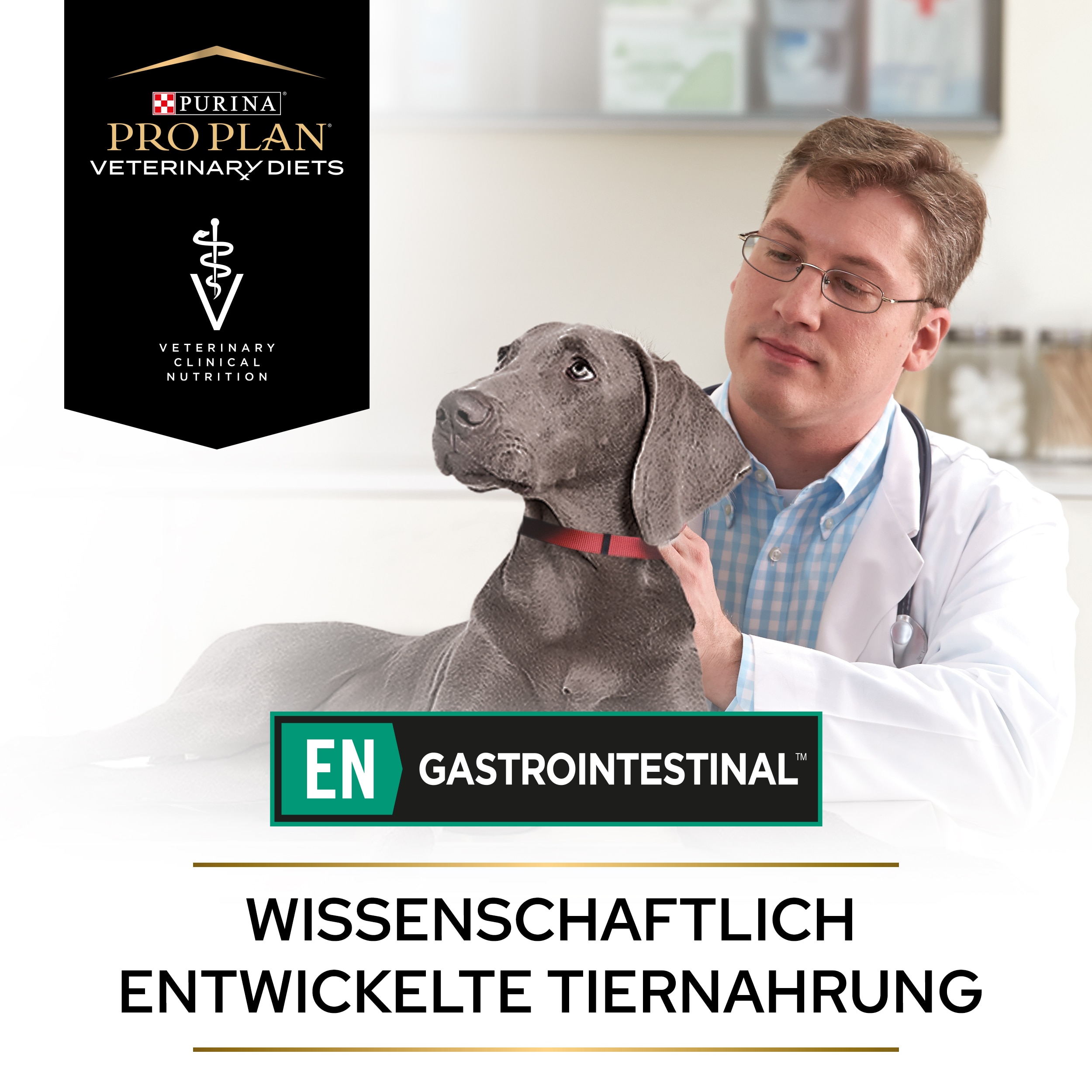 EN Gastrointestinal, Diätfuttermittel nass für Hunde zur Unterstützung des Magen-Darm-Traktes, 12 x 400 g EN Gastrointestinal - wissenschaftlich entwickelte Tiernahrung