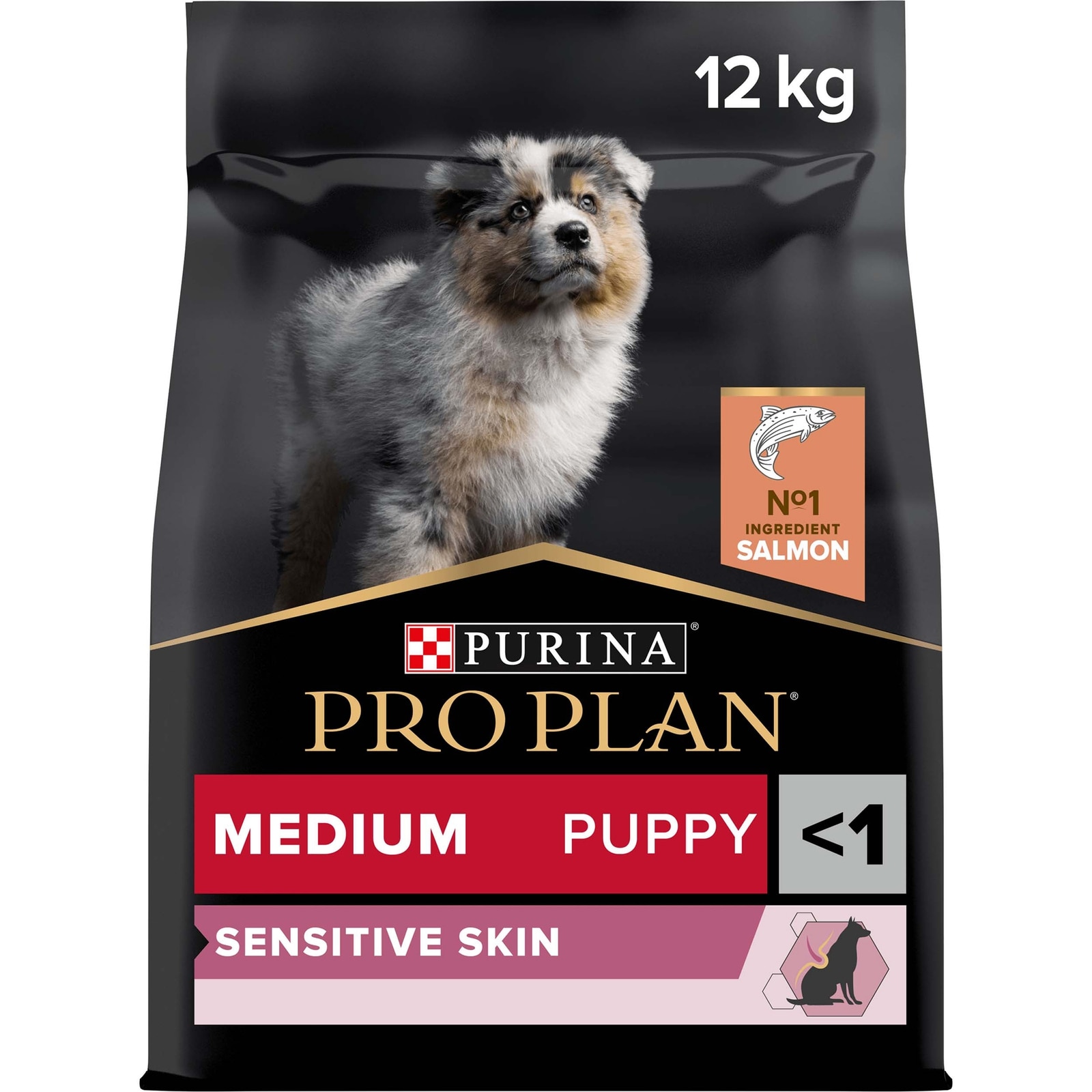 Puppy Sensitive Skin, Trockenfutter für Welpen mittelgroßer Rassen mit sensibler Haut, reich an Lachs