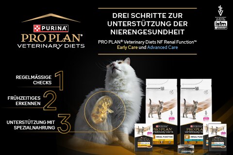129_PP_Umstellung_Webshop_Banner_diverseNF_KatzeMB480x320 129_PP_Umstellung_Webshop_Banner_diverseNF_KatzeMB480x320