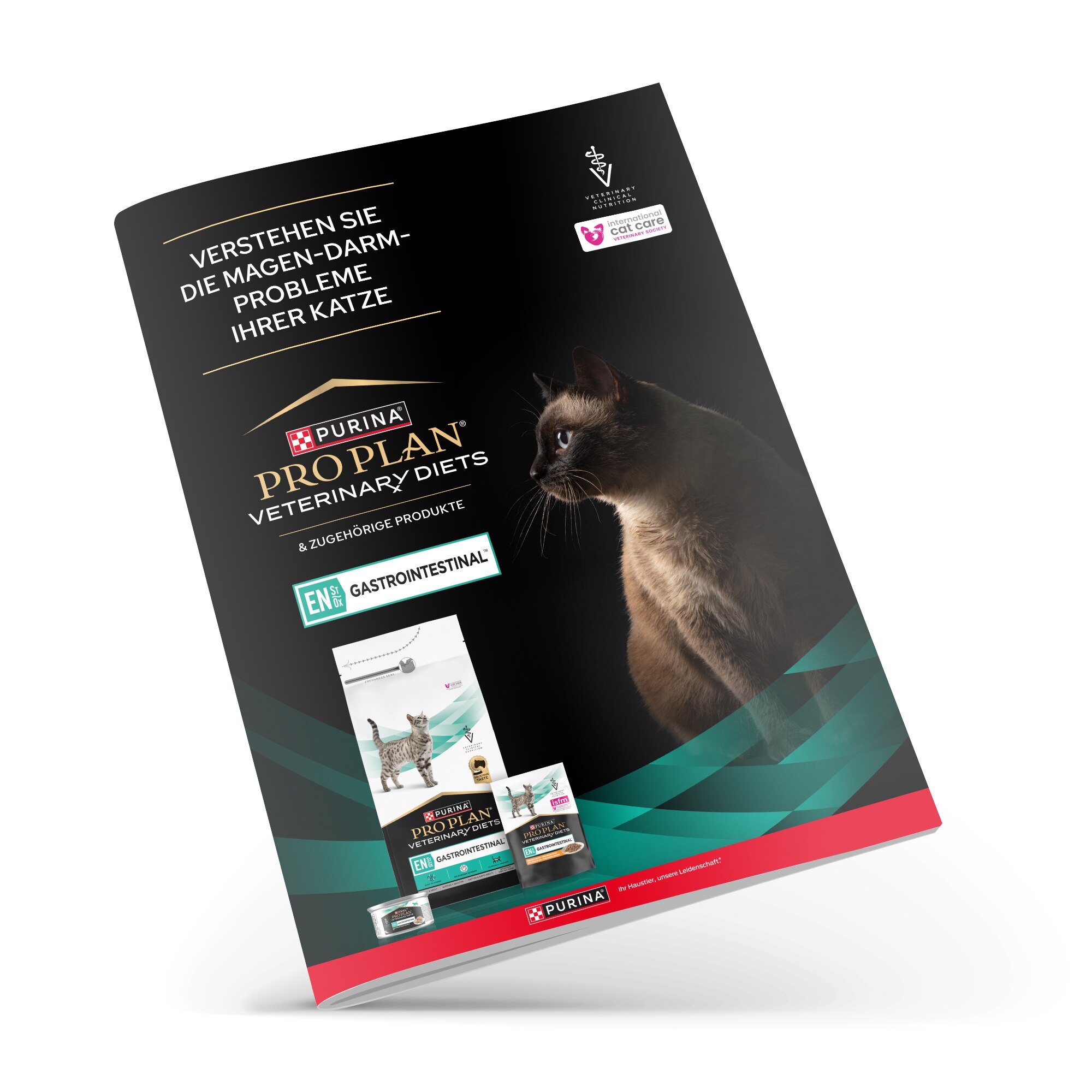 Werbung, Plakat, Katze, Säugetier, Haustier