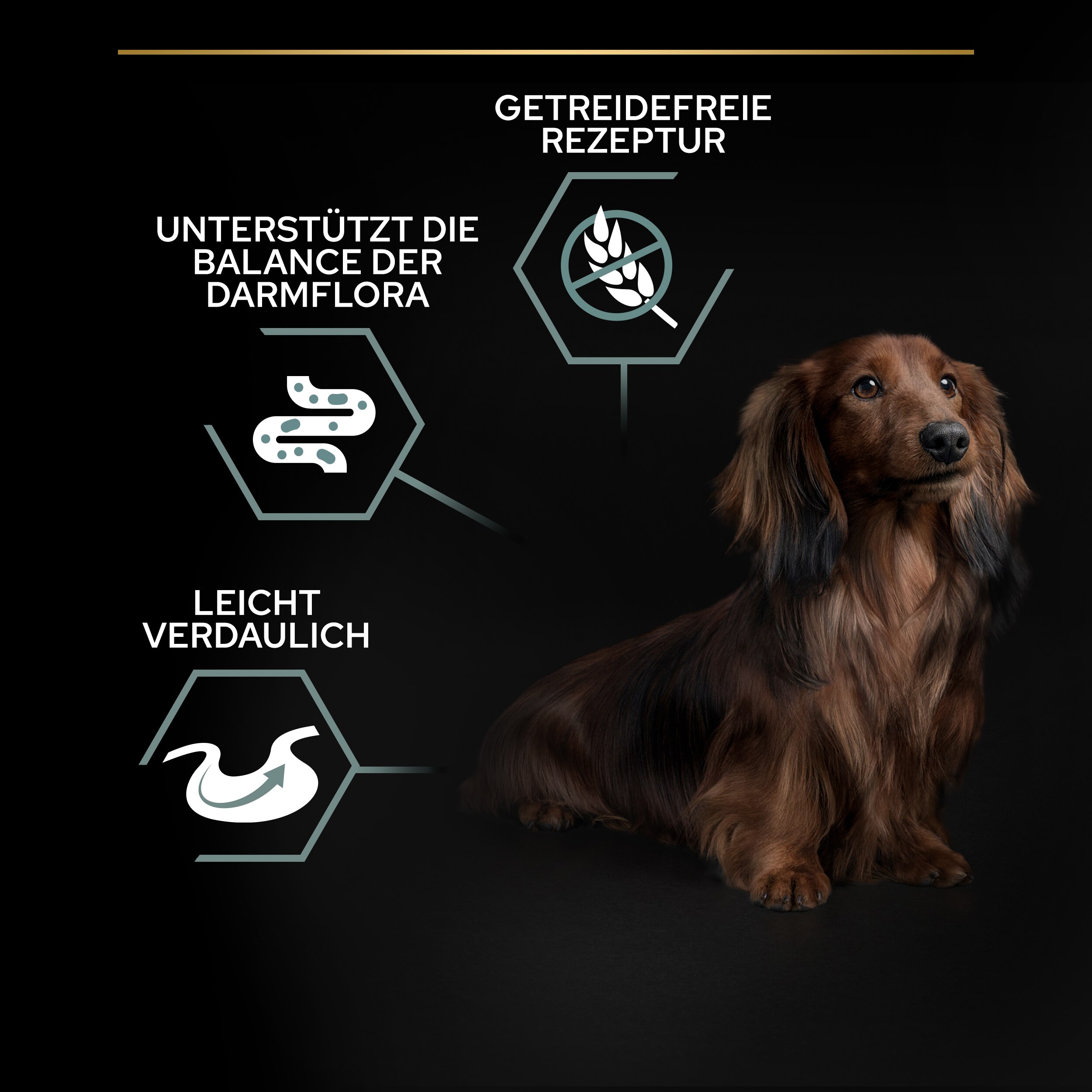 B07ND615Y2.pt02 Small & Mini Sensitive Digestion Trockenfutter für Hunde - Vorteile