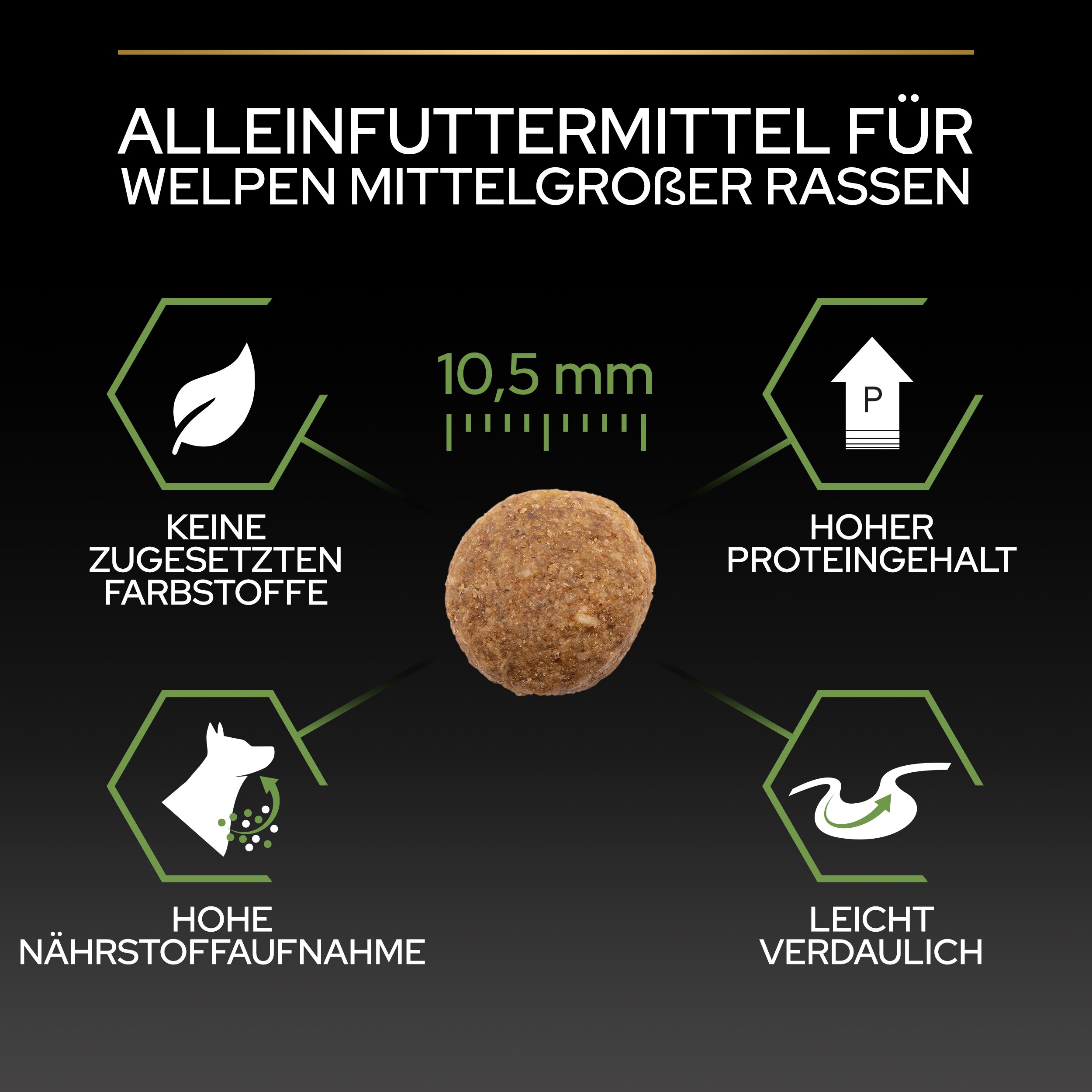 Trockenfutter Medium Puppy Healthy Start