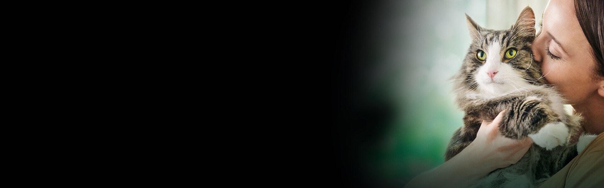 011_Aktualisierung_Assets_PPVD_Health-Packs_Marken_DT1920x600_LC