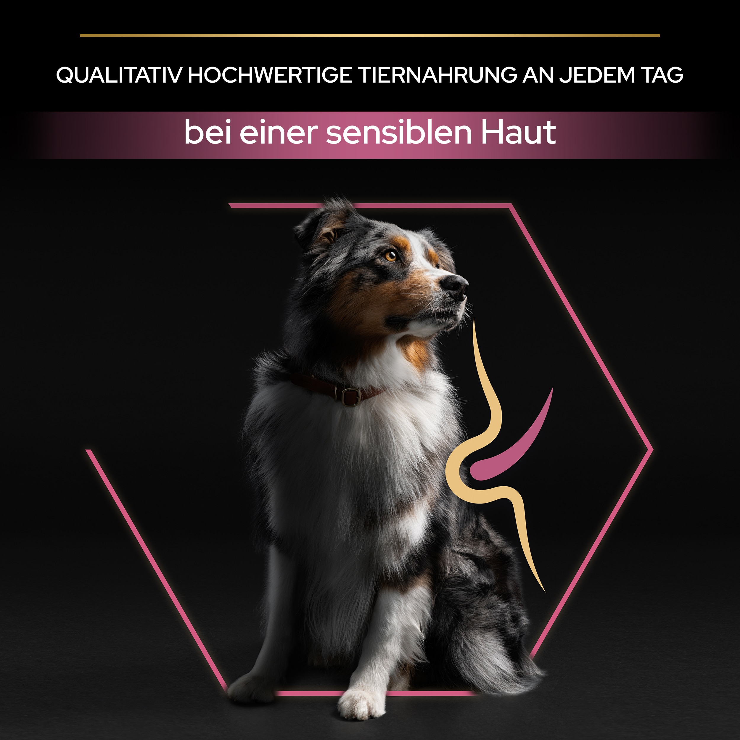 Adult Sensitive Skin, Hundetrockenfutter für sensible Haut, reich an Lachs Tiernahrung bei sensibler haut