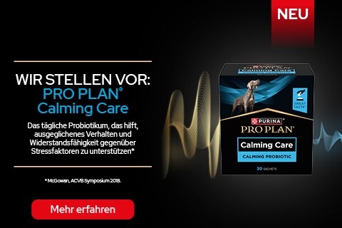 pro plan, calming care, probiotic, dog treats, packaging, pro plan, calming care, probiotics, dog product, sachets, Pro Plan, Calming Care, Probiotic, Sachets, Hunde