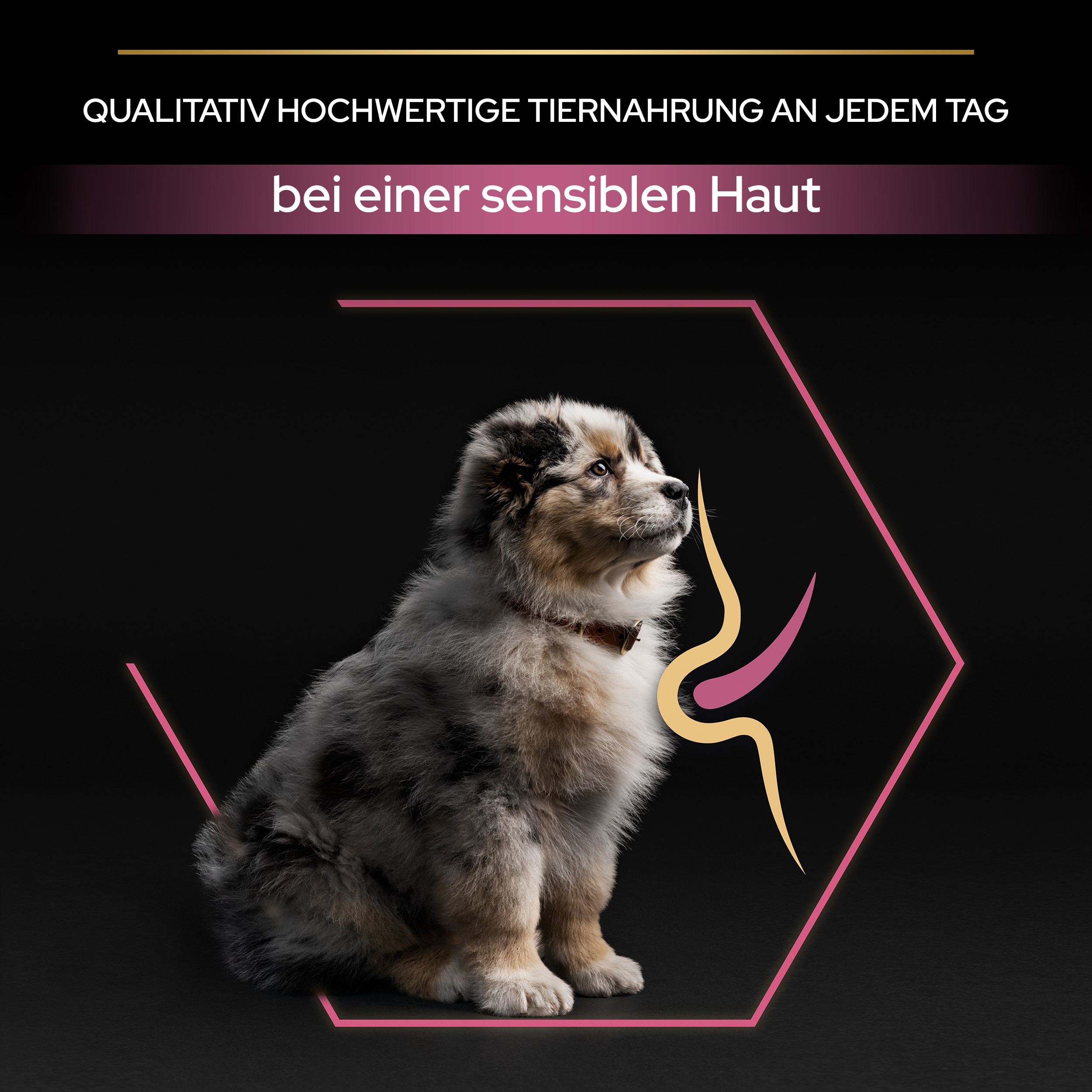 PU_SensitiveSkin_M2_PuppyMediumSalmon_DE_230314_3 Tiernahrung bei sensibler Haut (Für Welpen)