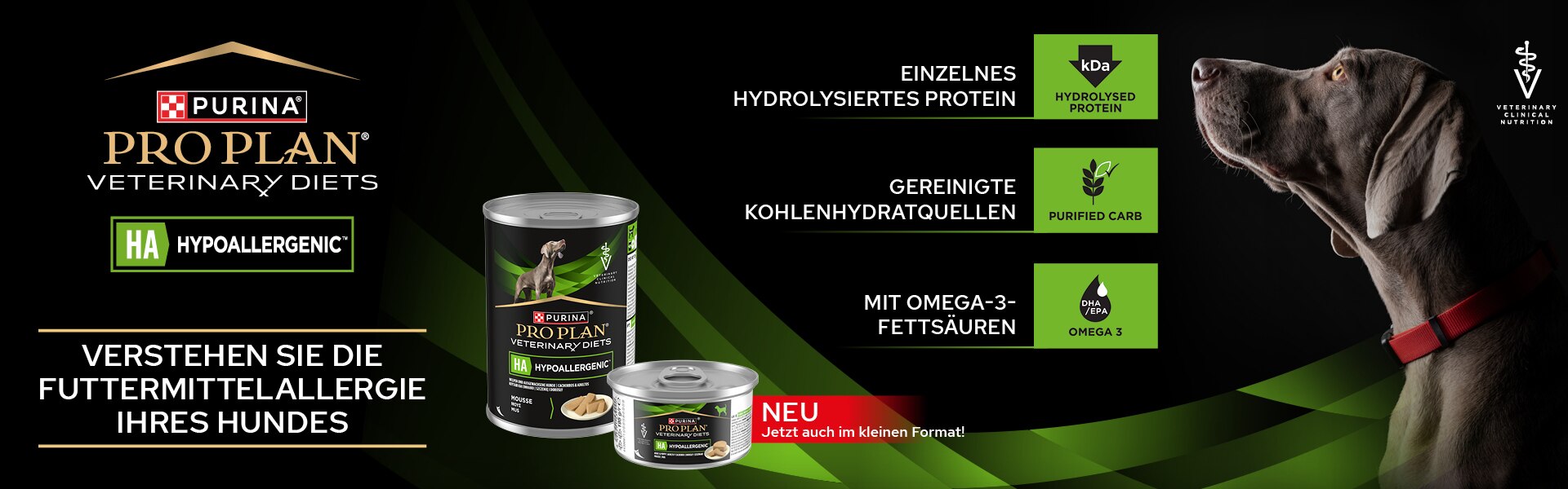 Aluminium, Zinn, Werbung, Hund, Konserven