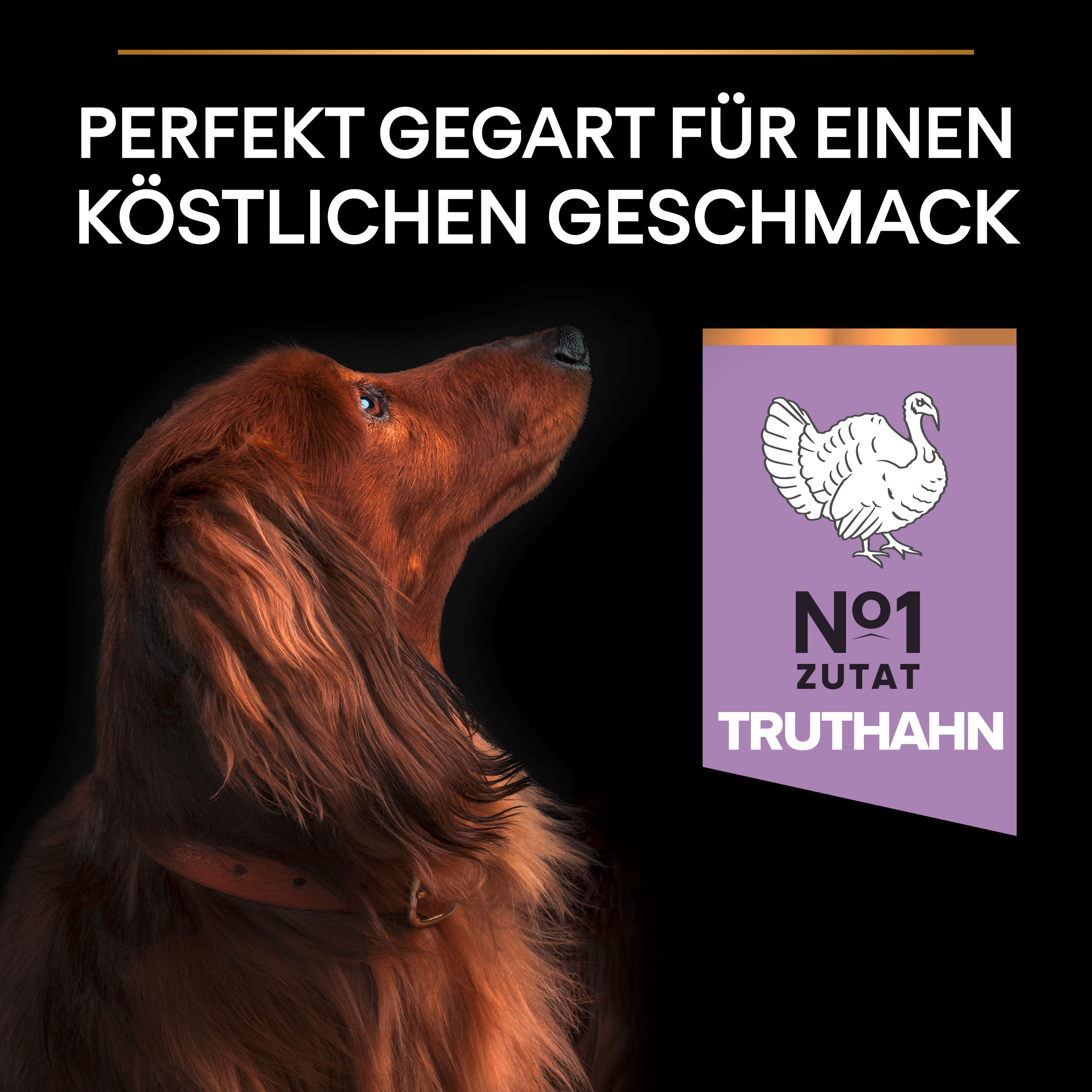 B07ND615Y2.pt03 Small & Mini Sensitive Digestion Trockenfutter für Hunde - Truthahn