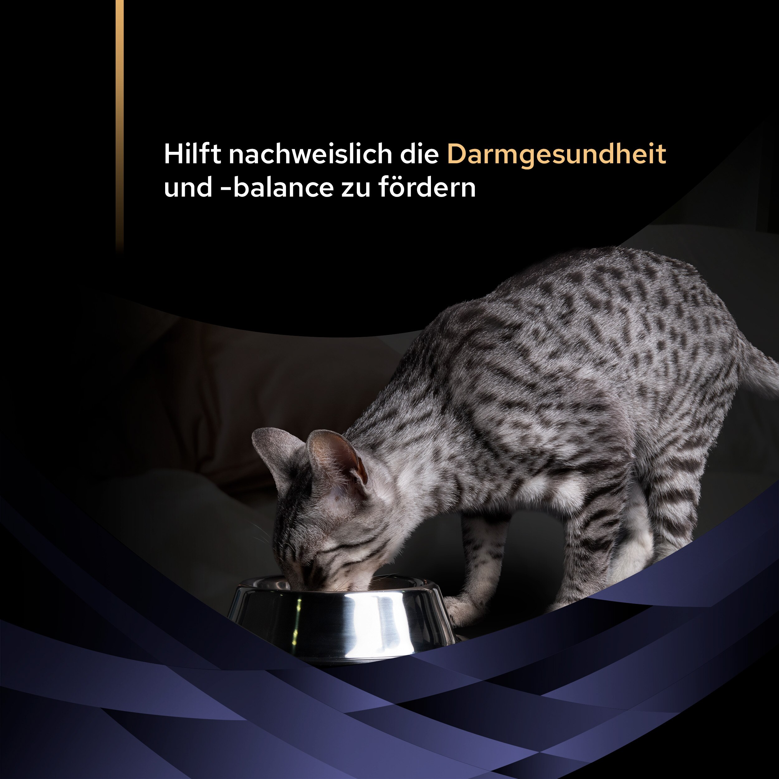 FortiFlora Chews, Ergänzungsfuttermittel für Katzen zur Unterstützung der Darmgesundheit, 30 Kautabletten