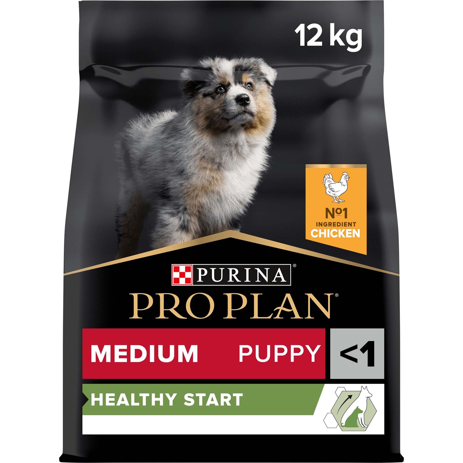 Trockenfutter Medium Puppy Healthy Start
