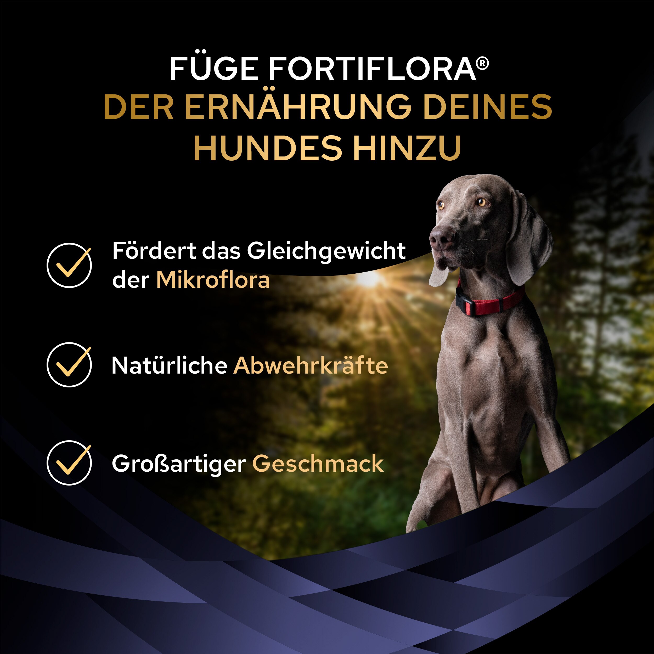 FortiFlora Chews, Ergänzungsfuttermittel für Hunde zur Unterstützung der Darmgesundheit, 30 Kautabletten