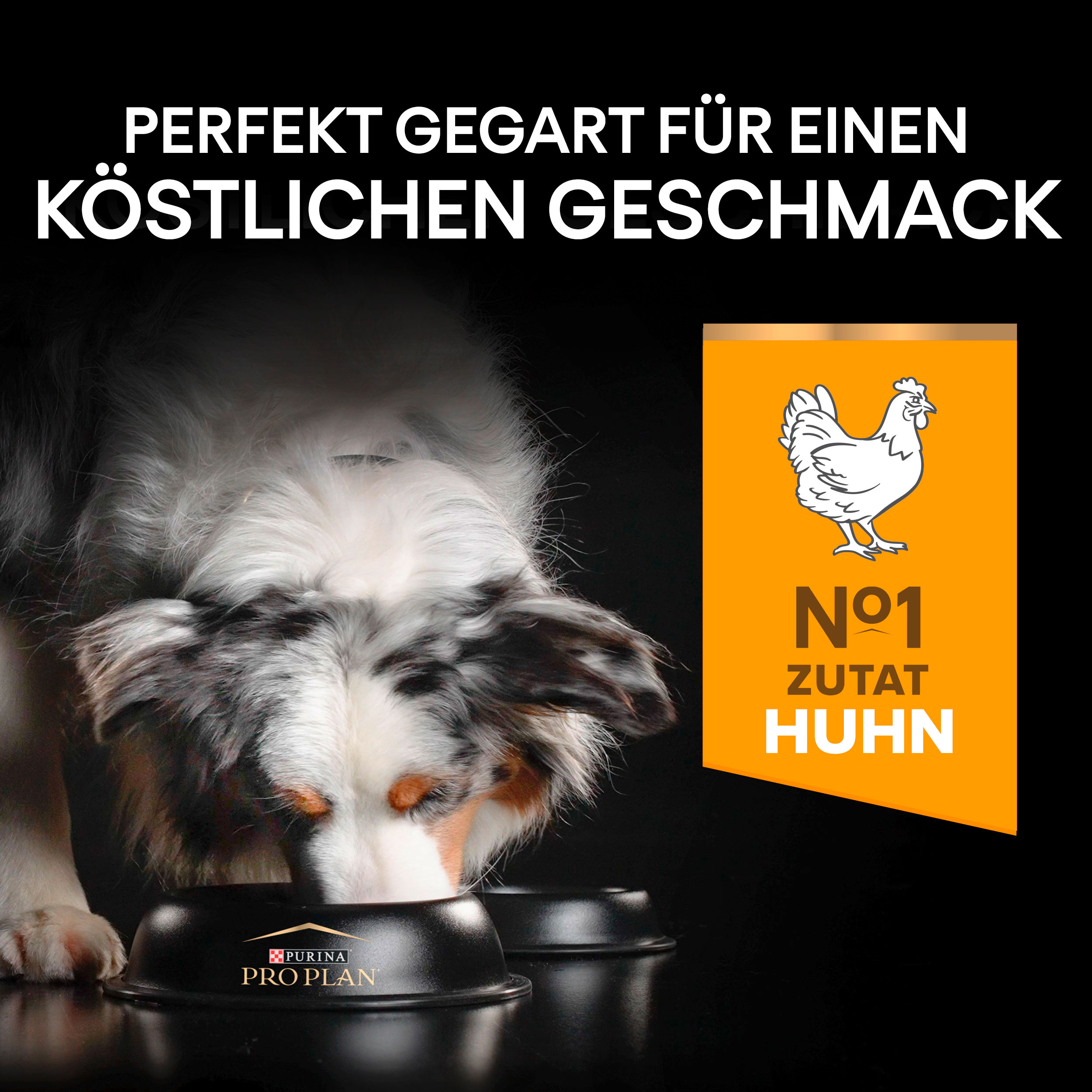 PU_Flavour Tile_M2_Performance_Adult All size Chicken_DE_221205_1 Trockenfutter mit Huhn für erwachsene Hunde
