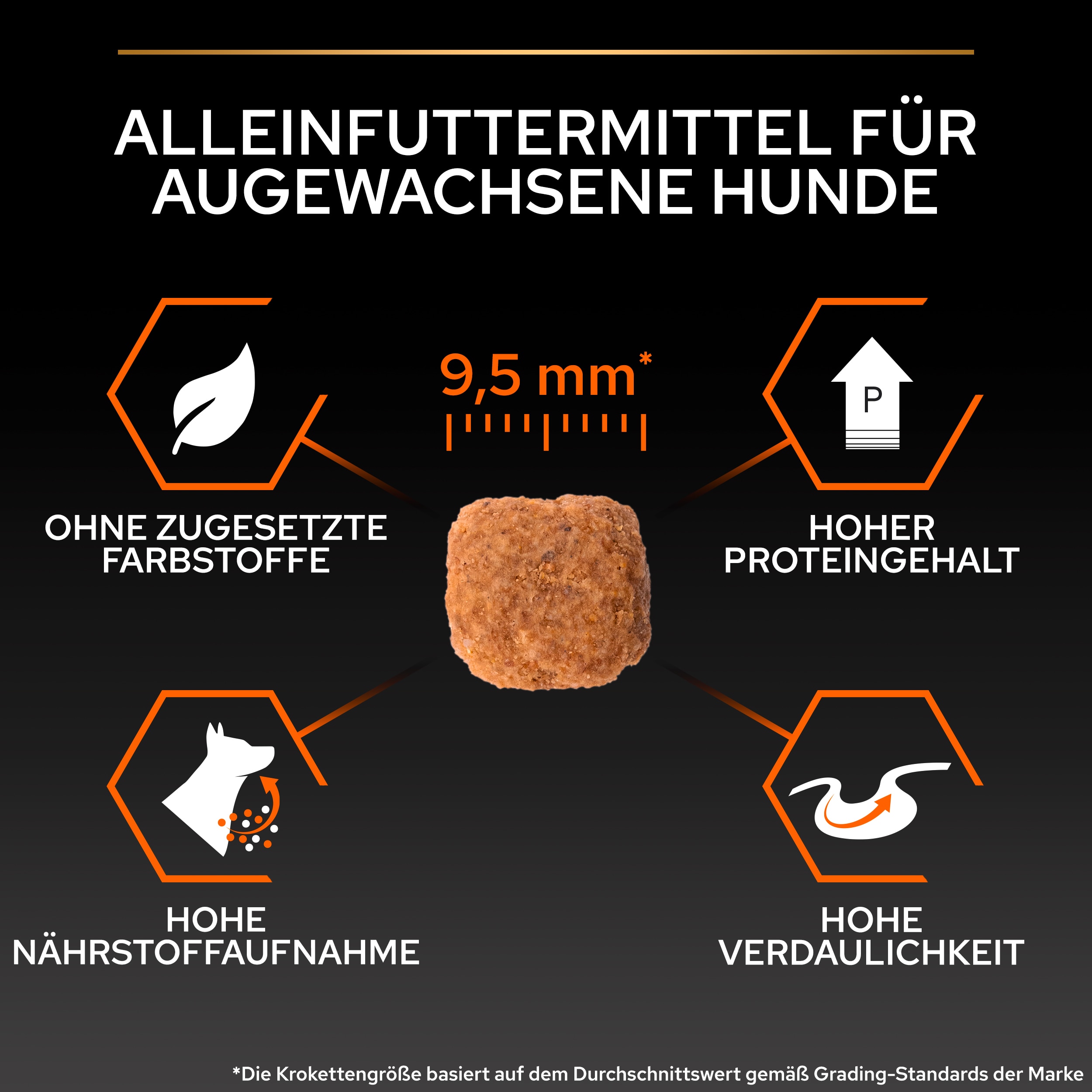 B00Y9SU0EA.pt04 Small/Mini Everyday Nutrition, Krokettengröße ca. 9,5mm