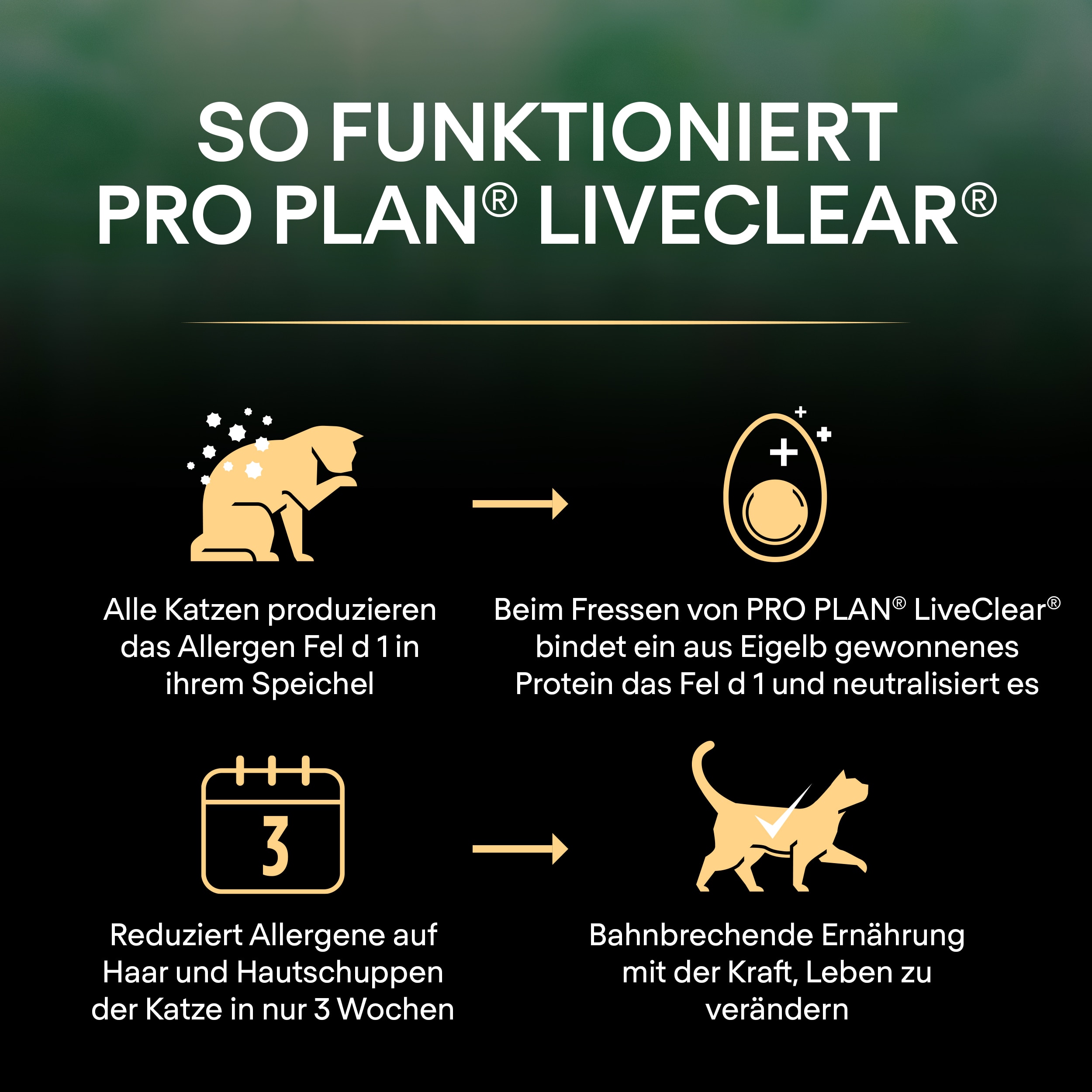 DE_PURINA_PROPLAN_0321_LiveClear_eContent_How-it-works_2500x2500