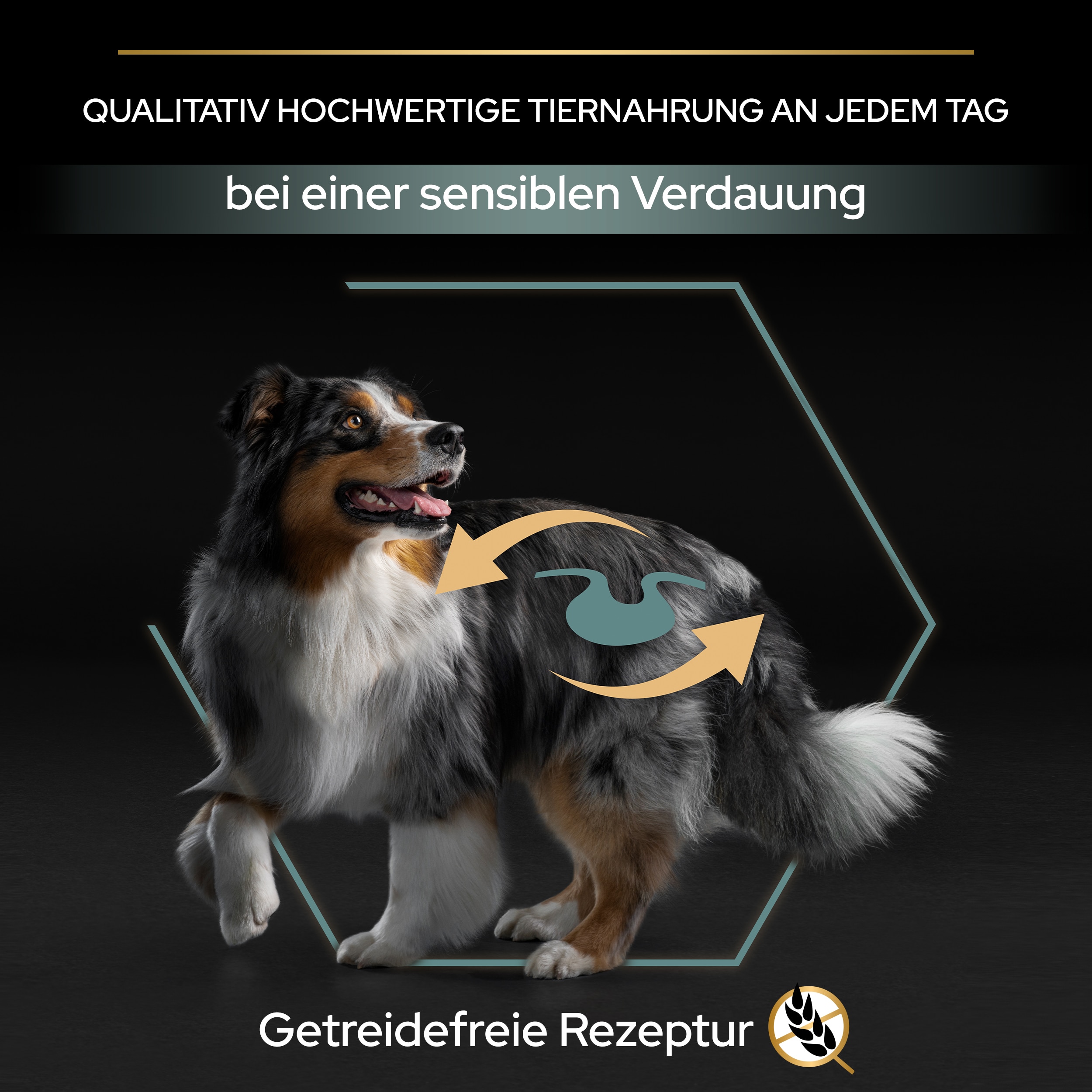 PU_SensitiveDigestionGF_M2_AdultMedLarTurkey_DE_20221202_01 Tiernahrung mit getreidefreier Rezeptur bei einer sensiblen Verdauung