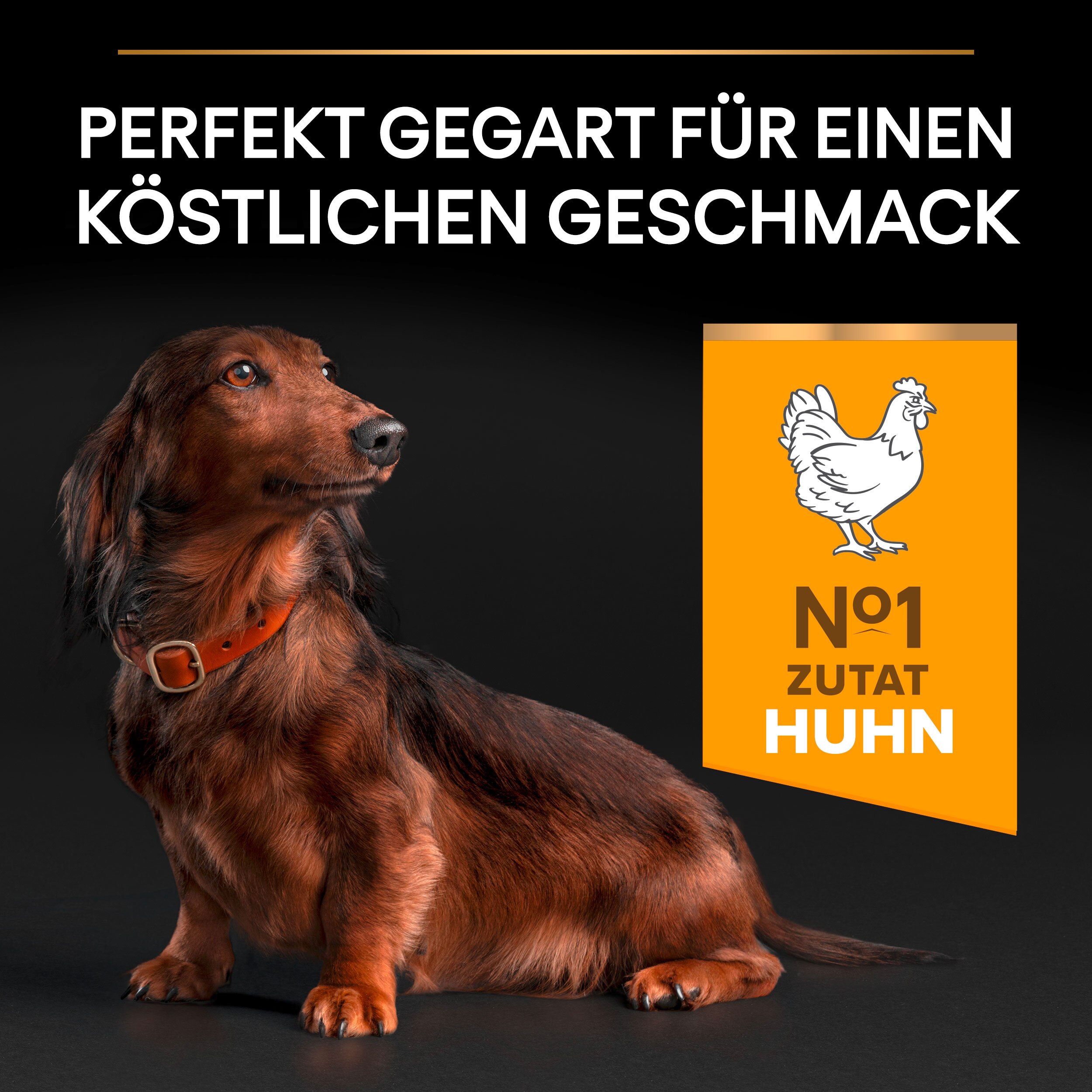 PU_Flavour Tile_M2_Age Defence_Adult-9+ SmallMini Chicken_DE_221205_1