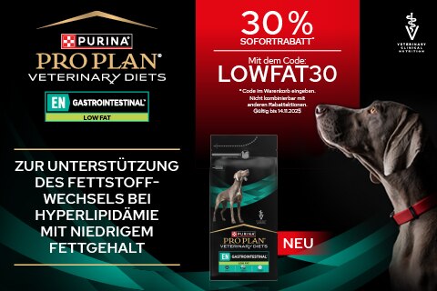 Werbung, Plakat, Hund, Säugetier, Haustier