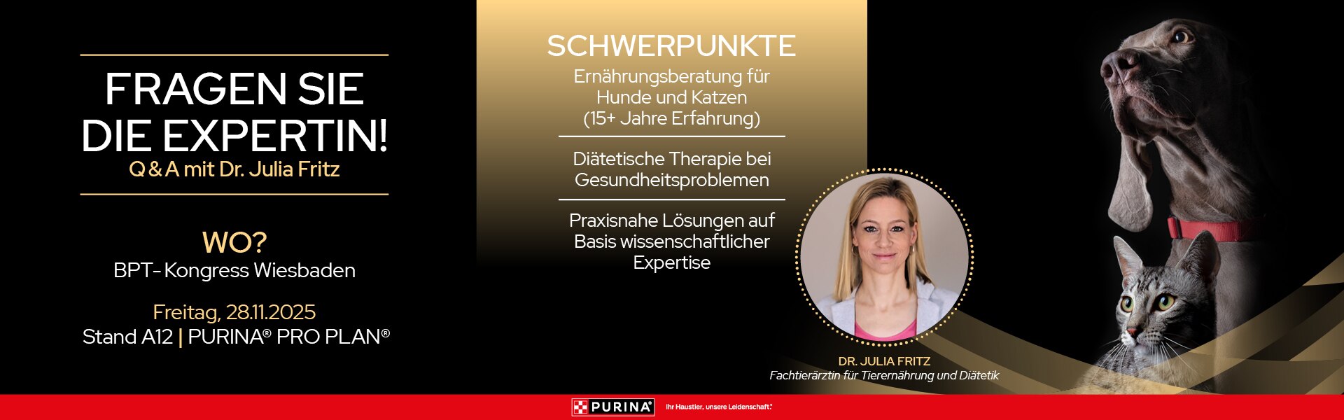 Werbung, Plakat, Person, Hund, Katze