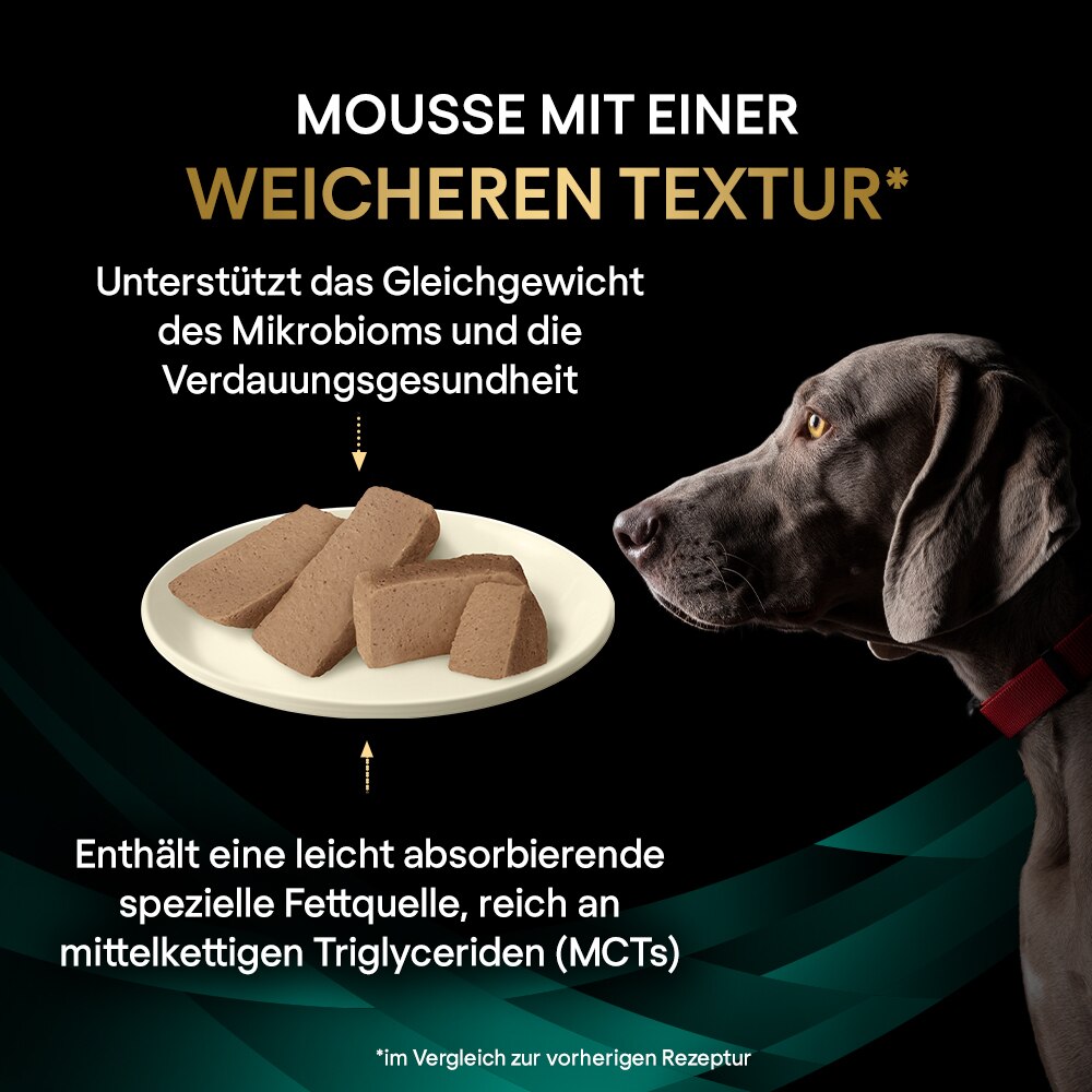 Hundefutter, Kauknochen, Fleischpastete, Mousse, Leckerli