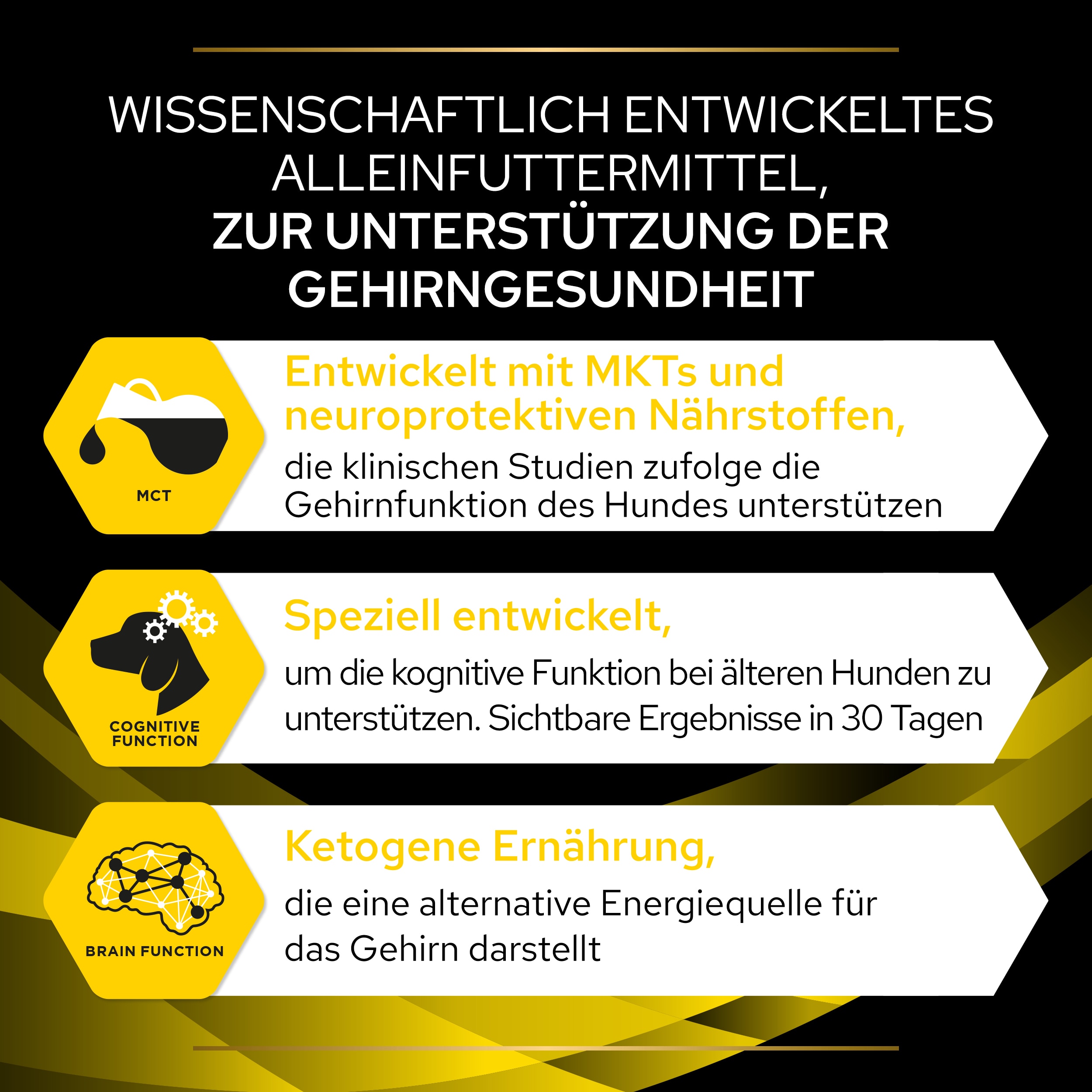 NC NeuroCare, Alleinfuttermittel für Senior-Hunde  Vorteile von NC Neurocare Alleinfuttermittel