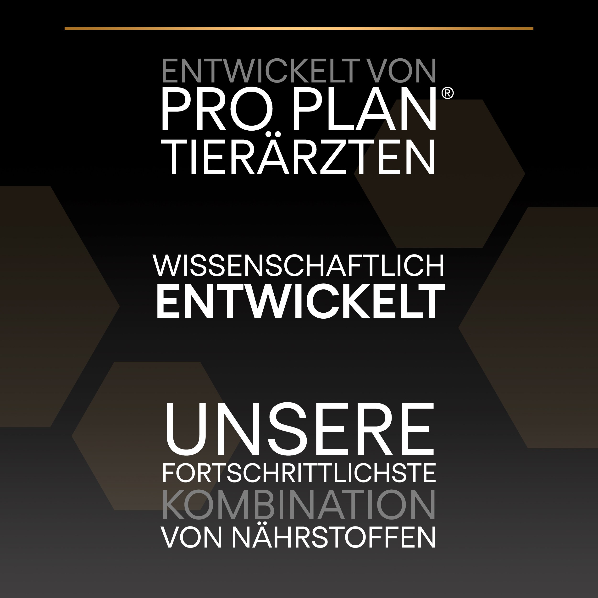 Hexagon pattern, Schwarzer Verlauf, Weißer Text, Goldakzent, Werbedesign