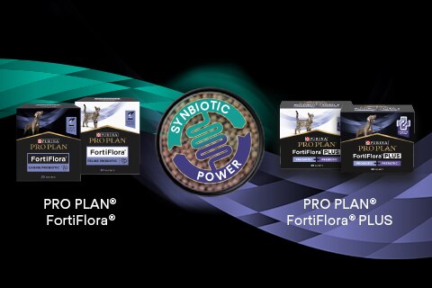 DE_PURINA_PPVD_0826_Synbiotic-Effects-Kampagne-Landingpage_Fortiflora_Teaser-Homepage_Mobile_480x320