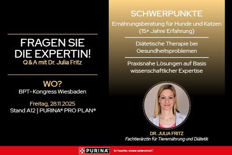 Werbung, Plakat, Erwachsener, Person, Frau